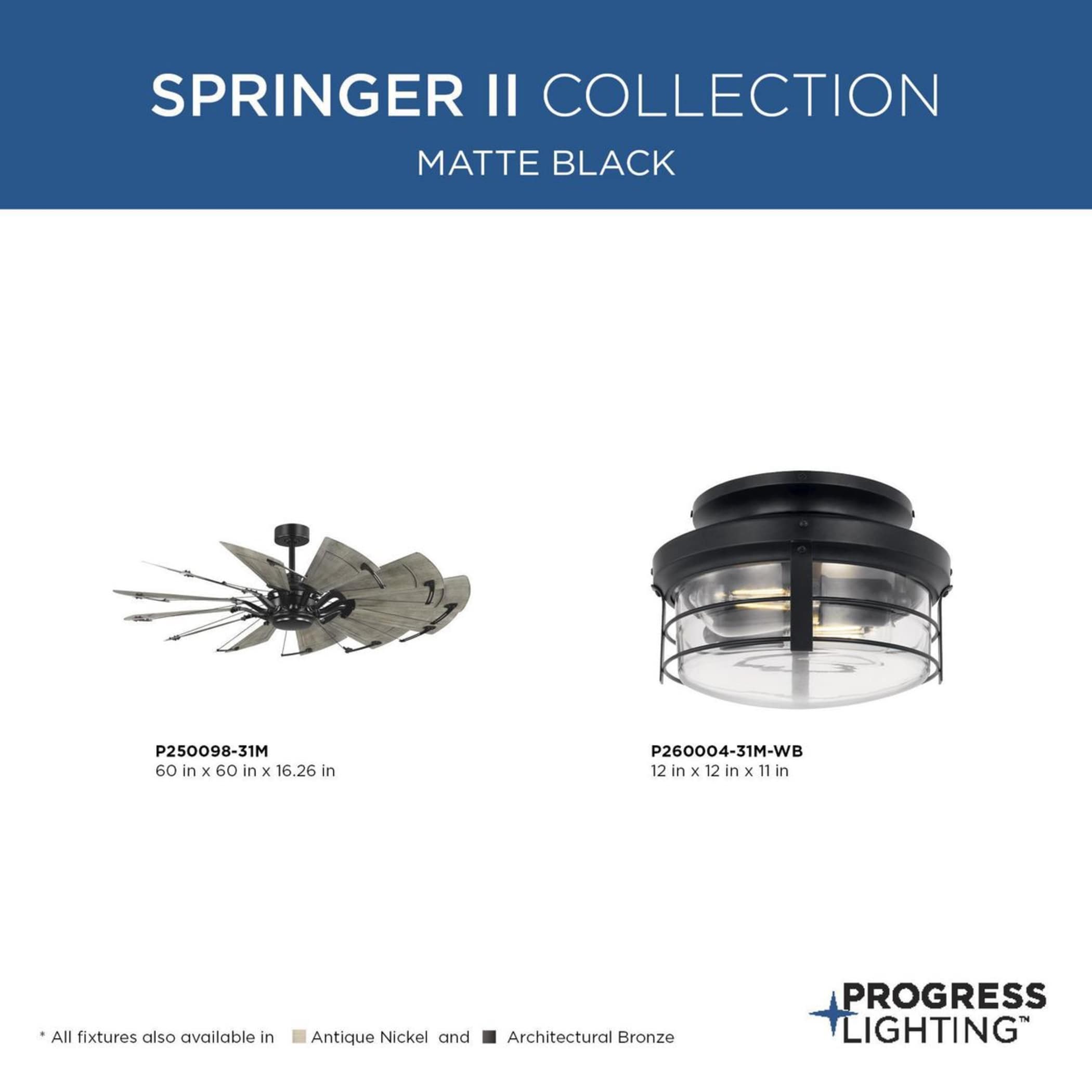 Progress Lighting P260004-31M-WB Ceiling-Fan-Blade-Arms - View #9