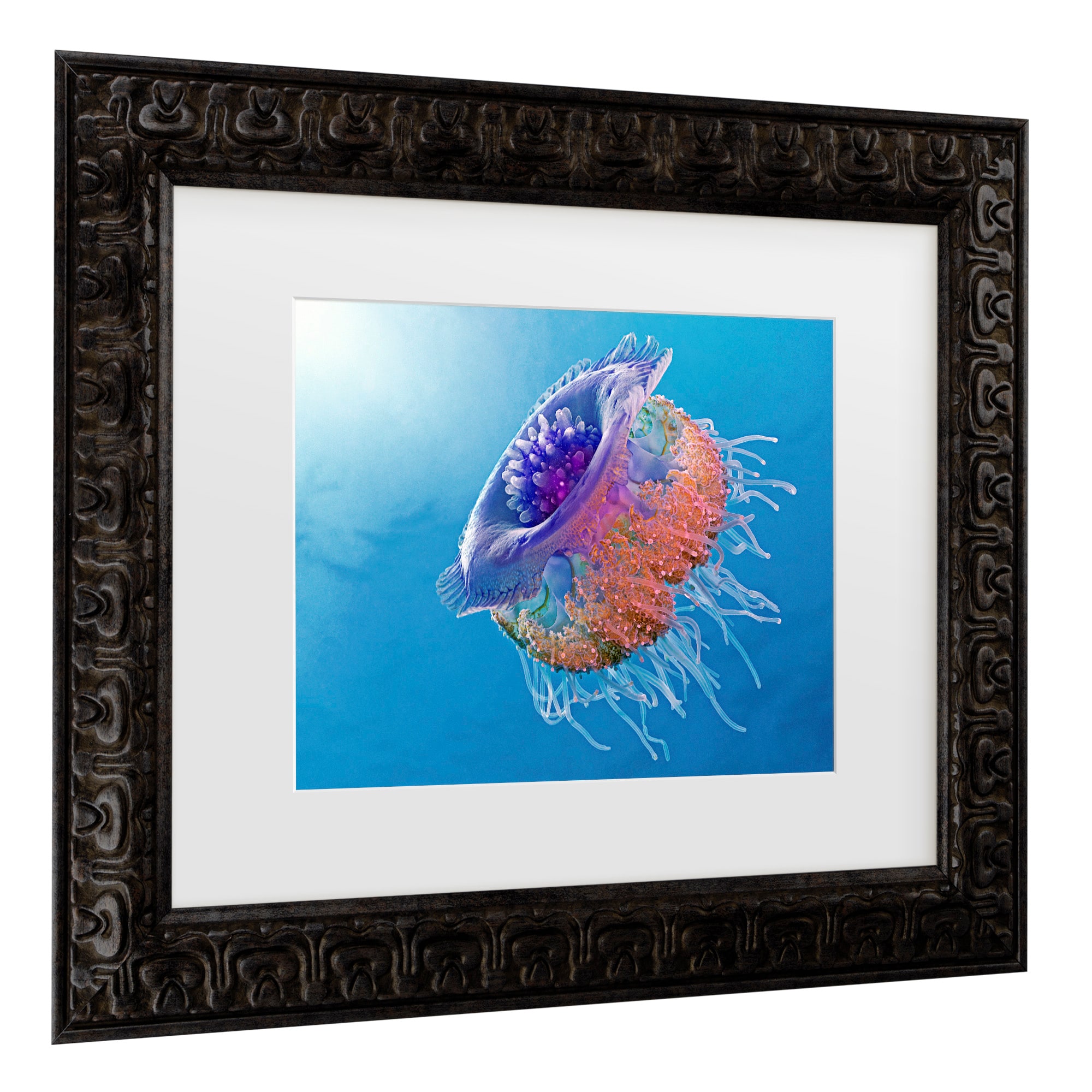 Trademark Fine Art 1X10268-DG1114MF Wall-Art - View #3