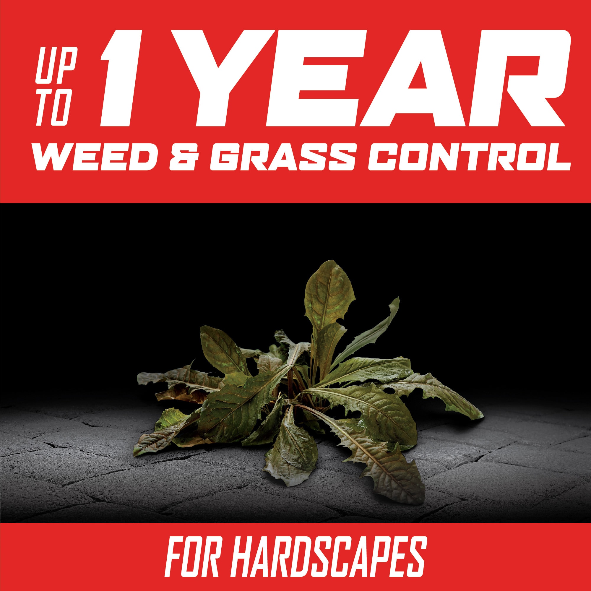ORTHO 4657110 Weed-Killers - View #4