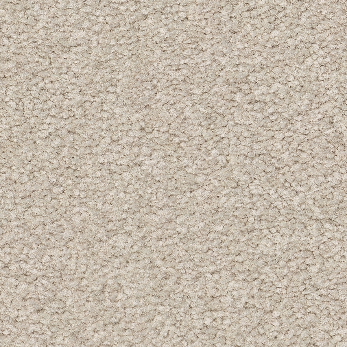 STAINMASTER PetProtect 7L883 - 156 - SAMP (Sample) Best of Breed III Bleached Slate Off-white 68.2-oz sq yard Nylon Textured Indoor Carpet