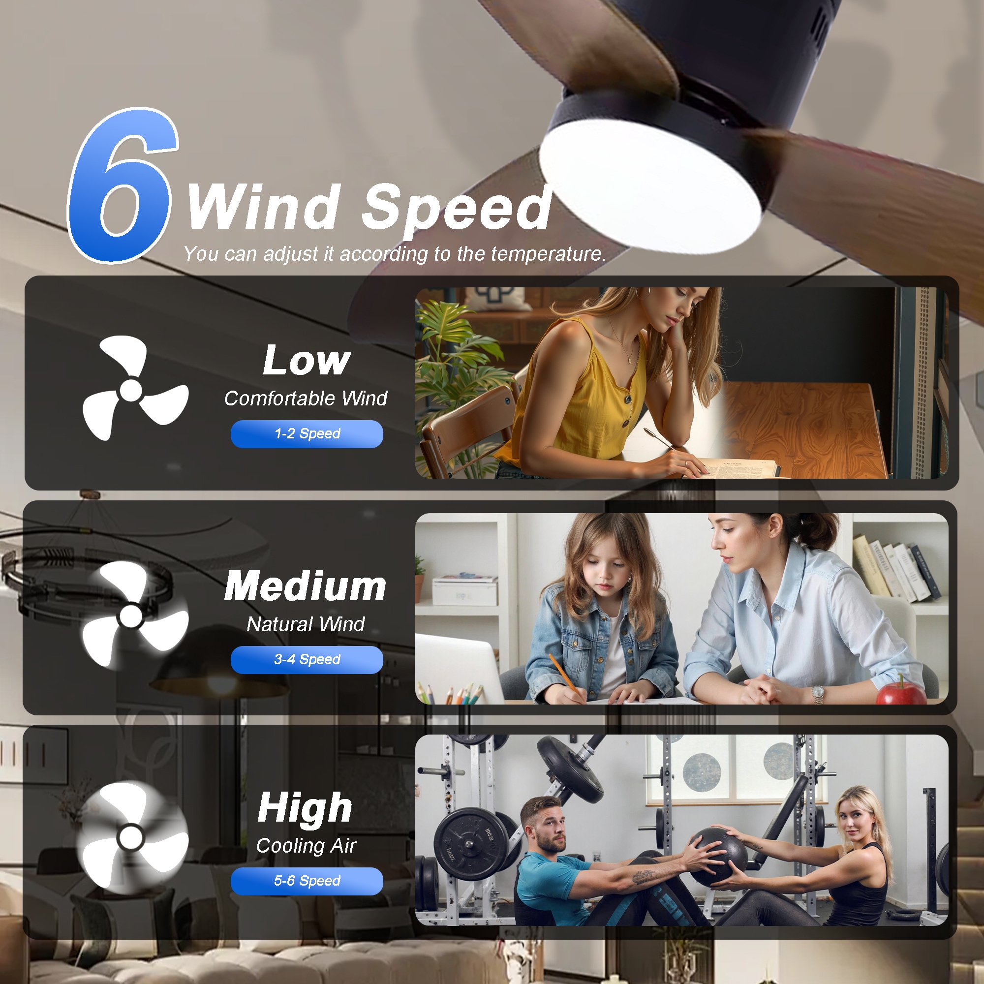 Sunrinx CF-12-DS Ceiling-Fans - View #9