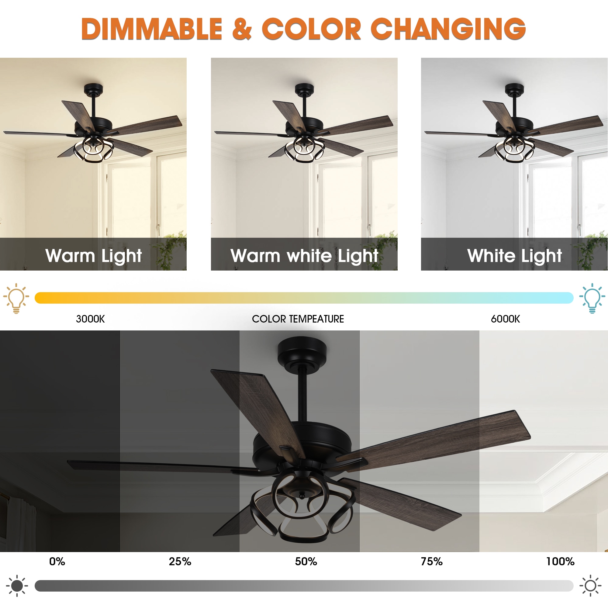 Parrot Uncle F6367BK110V Ceiling-Fans - View #7