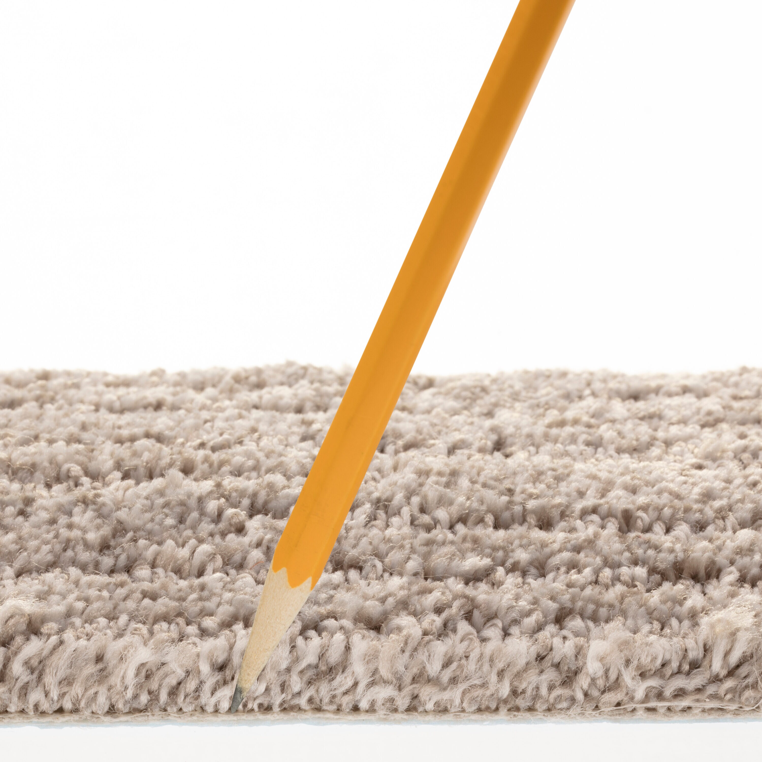 STAINMASTER 7L889 - 104 - SAMP Carpet-Samples - View #7