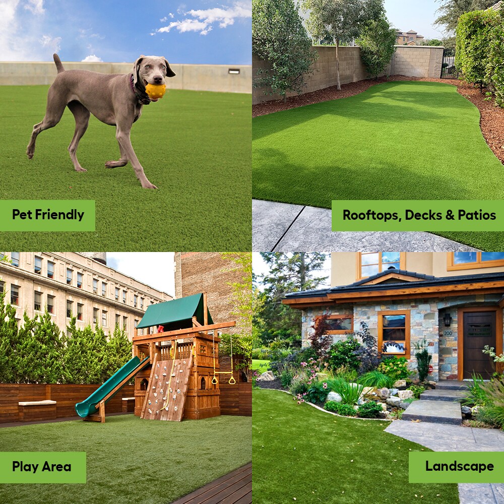 SYNLawn Fern 15-ft Cut To Length Artificial Grass