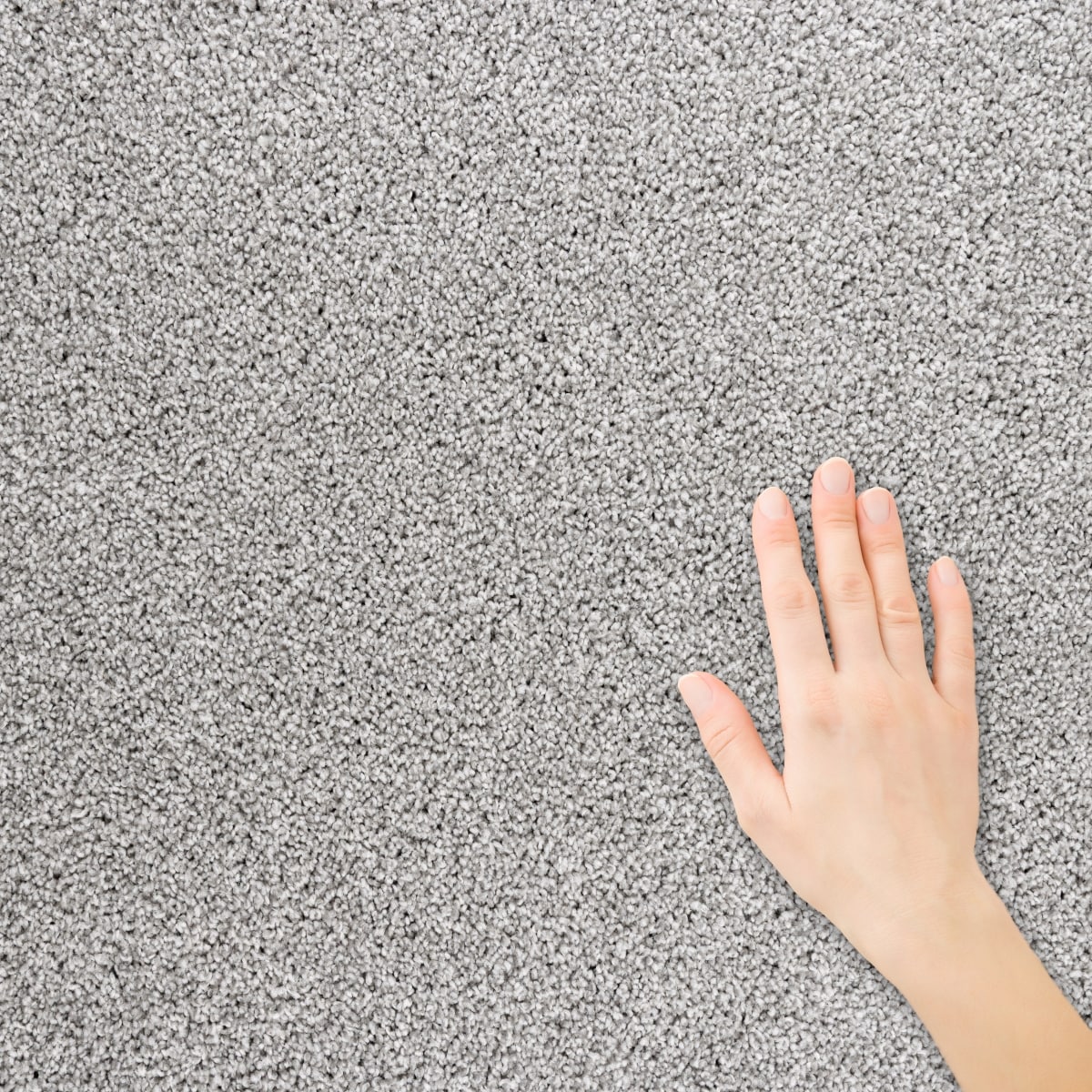 STAINMASTER S9840-10012-1200-MO Carpet-Panel - View #3