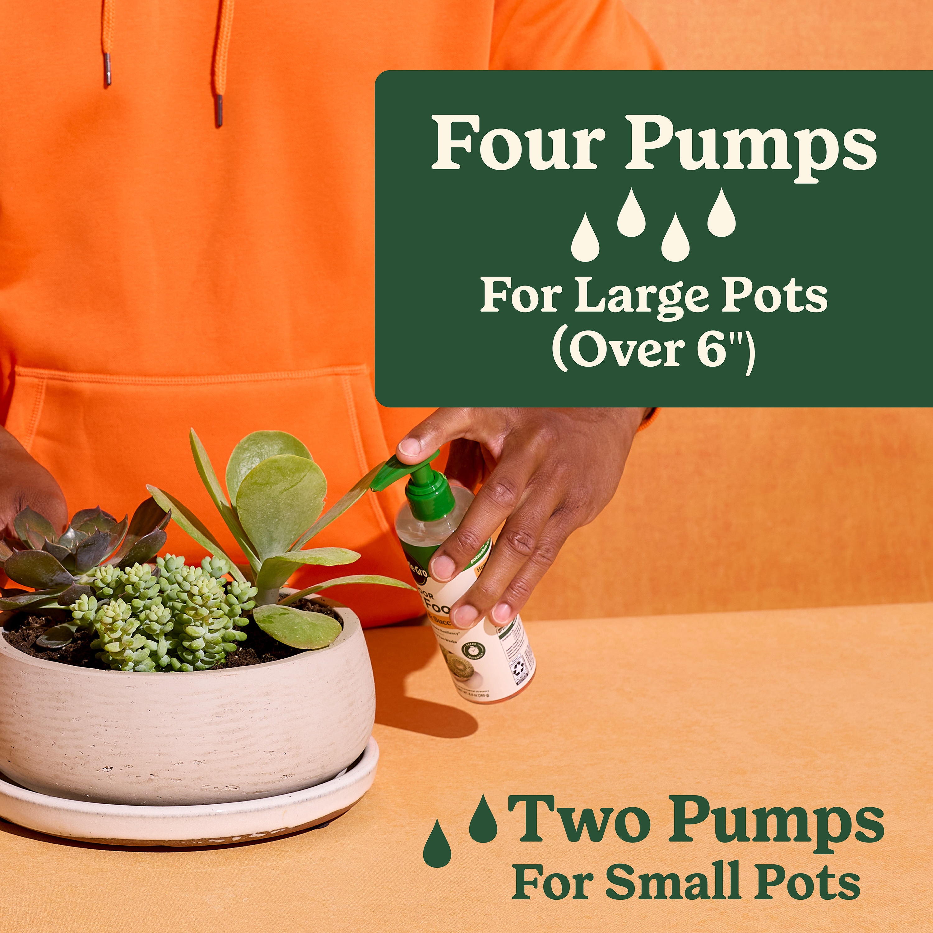 Miracle-Gro 3421406 Plant-Food - View #5