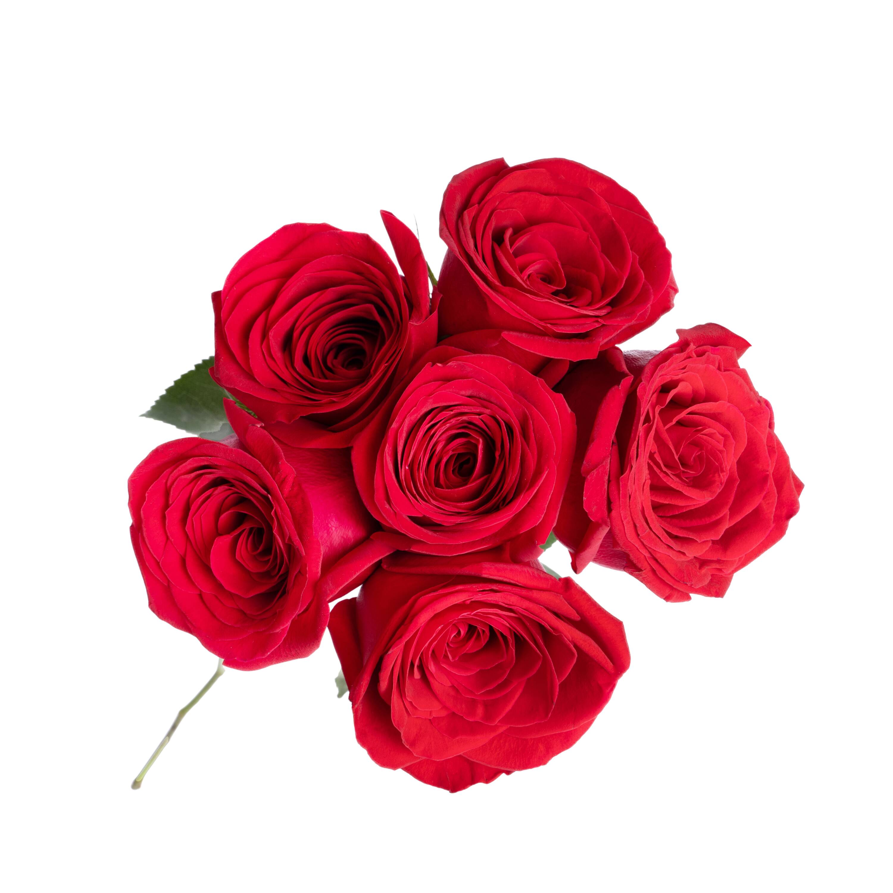 FANTASY FARMS 1256 Assorted Half Dozen Roses