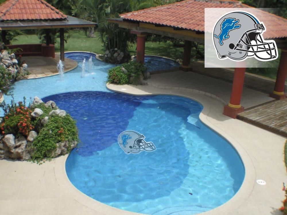 Applied Icon NFPO1101 Detroit Lions 29-ft Pool Graphic