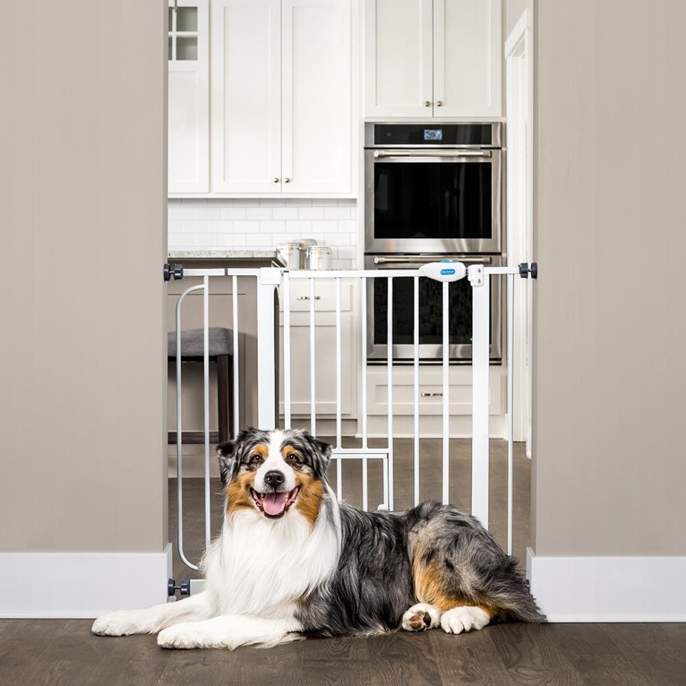Carlson Pet Products Tension Mount White Metal Pet Gate In The Pet Gates Department At Lowes Com