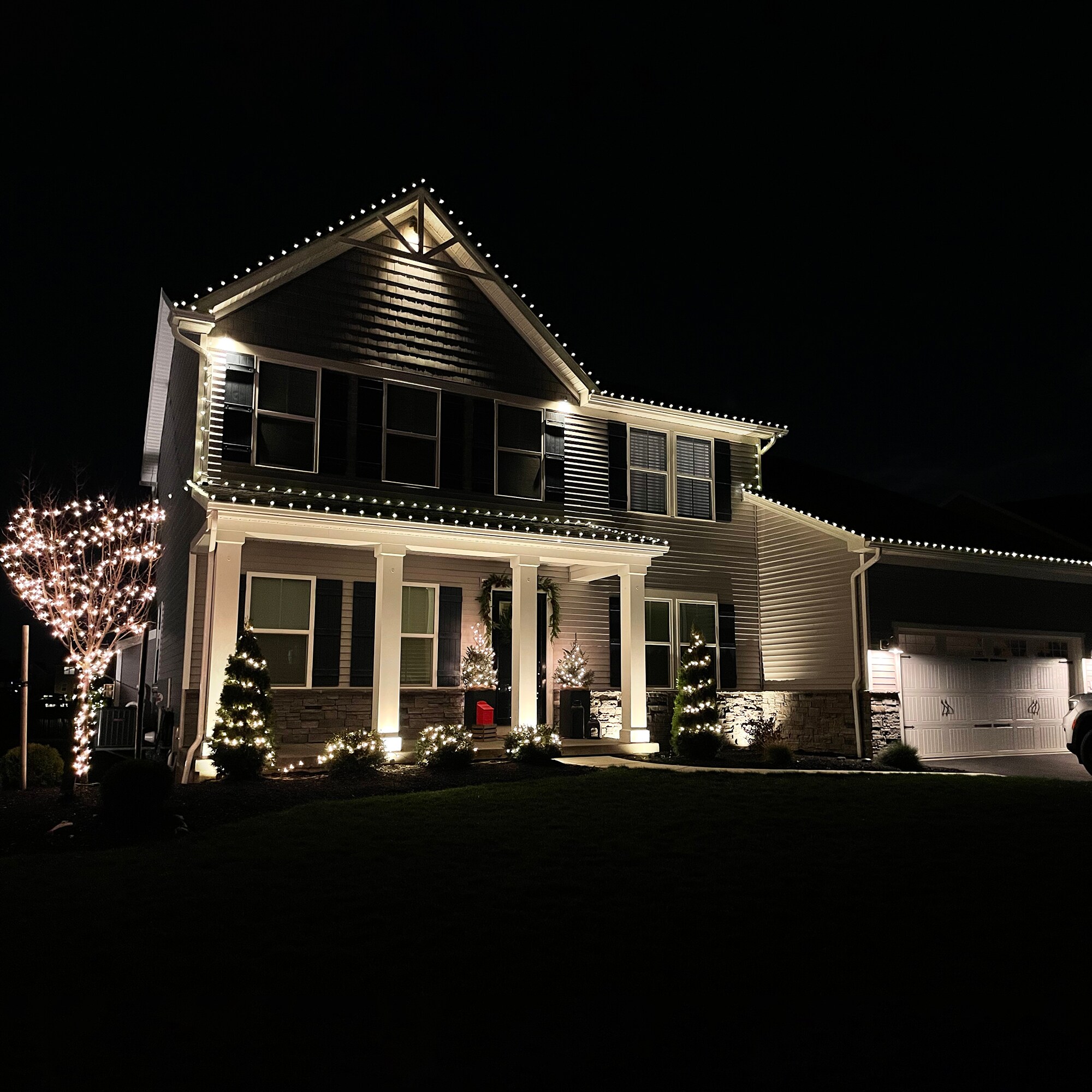 Northlight 32602374 Christmas-String-Lights - View #7