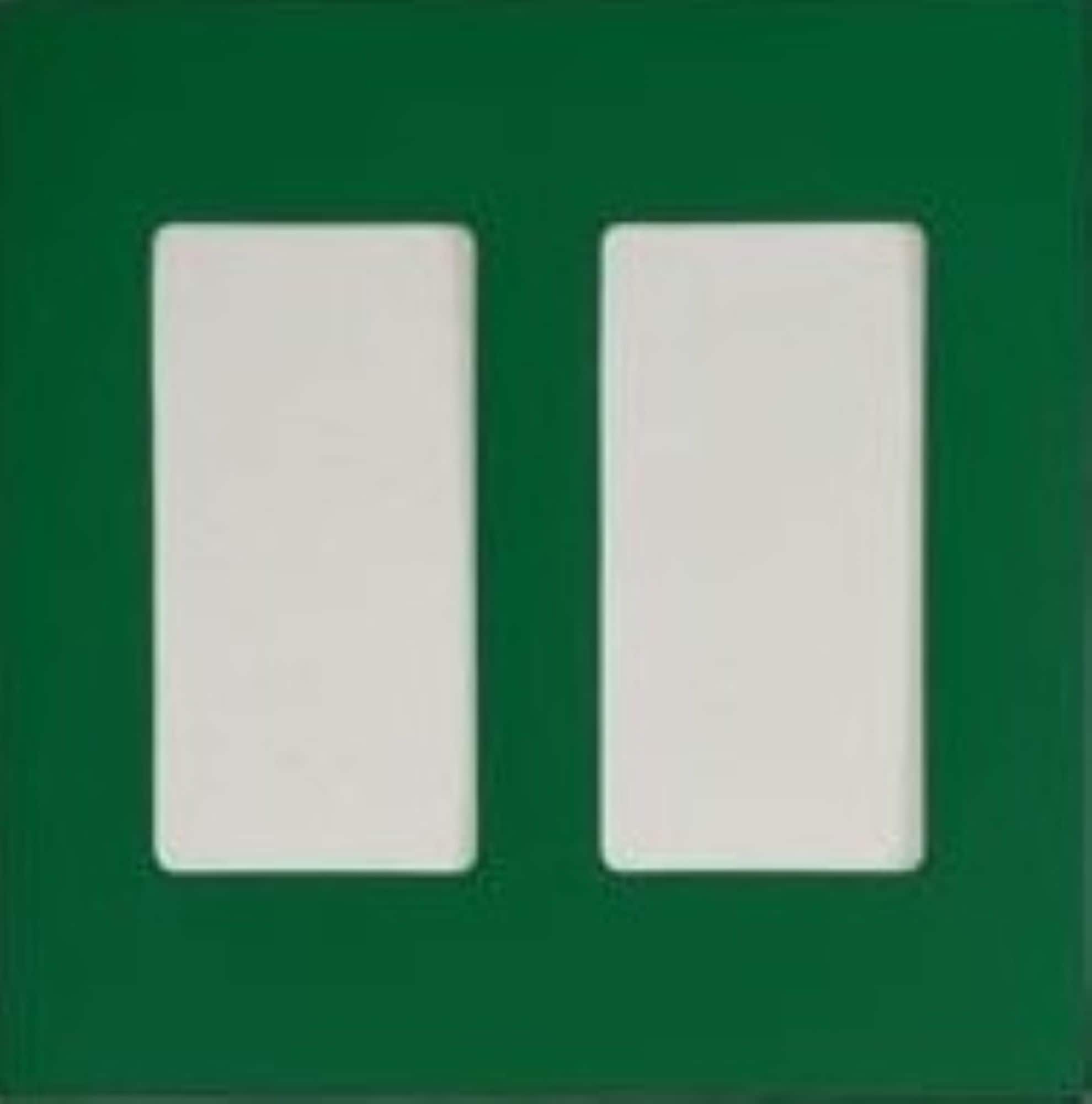 Switch Ups 100054 GREEN insert 2-Gang Jumbo Size Magnetic Green Polyresin Indoor Decorator Wall Plate