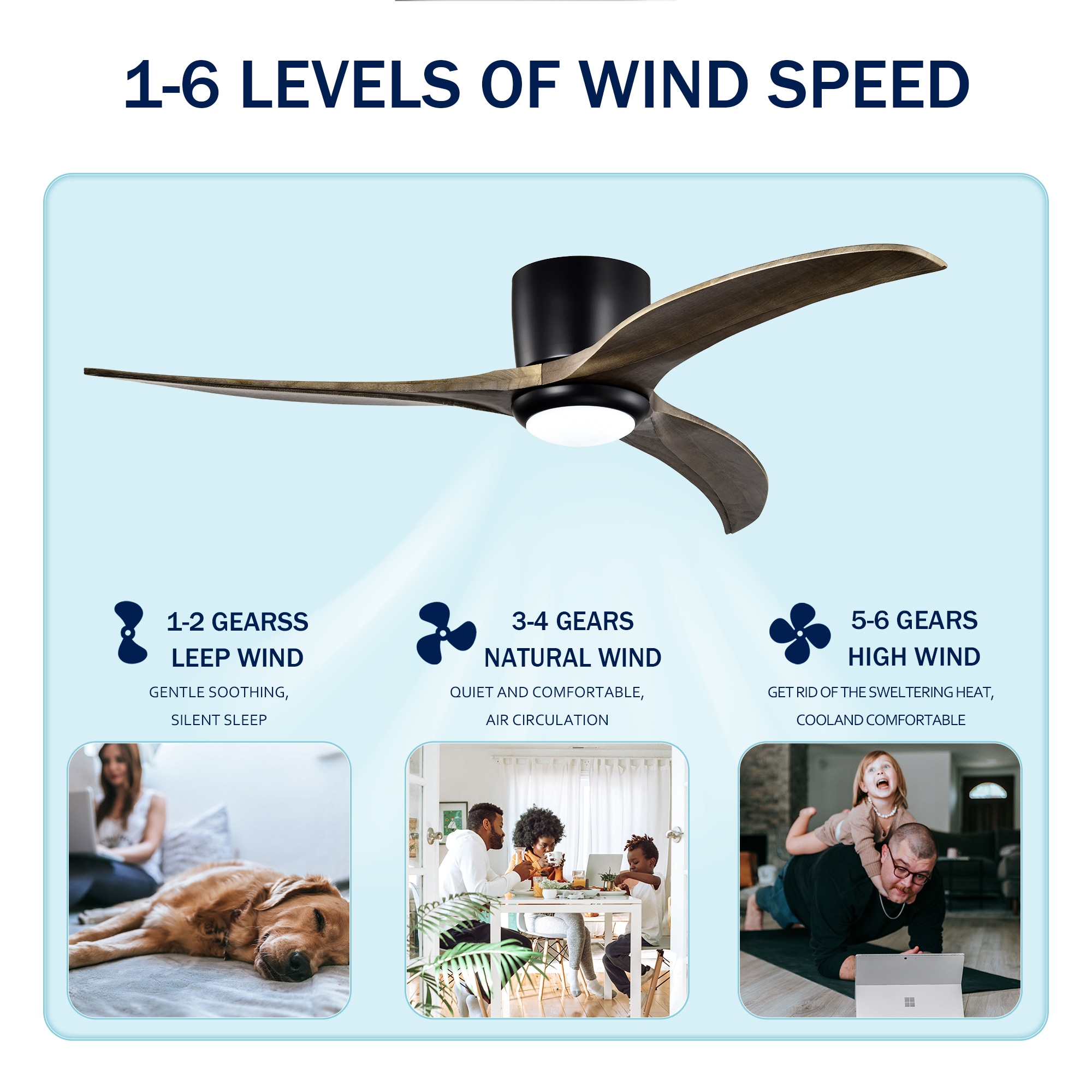 SINOFURN SYB570053BK Ceiling-Fans - View #5