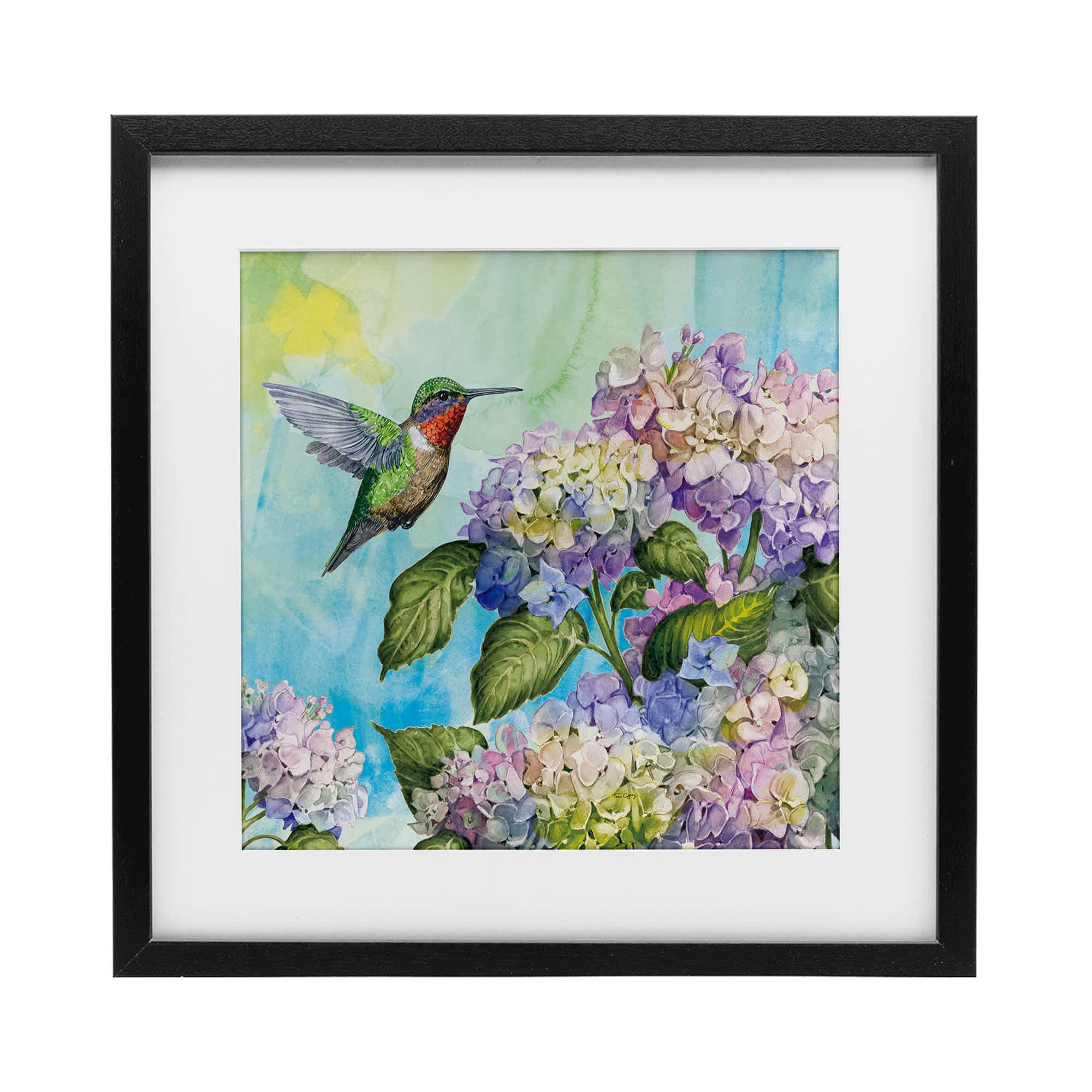 Stupell Industries BW-241-MFB-16X16 Hummingbird and Hydrangeas Black Framed Print Under Glass 16 x 16