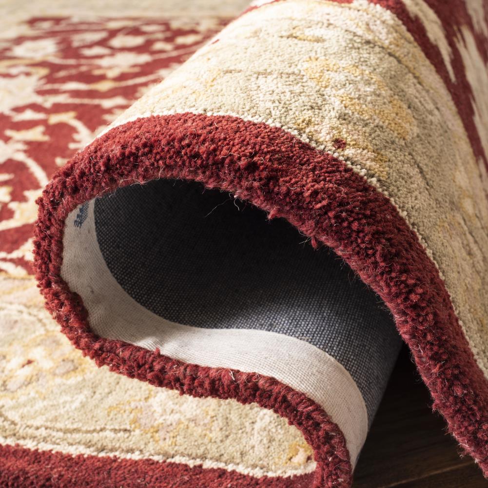 Safavieh AN522D-8R rugs - View #5