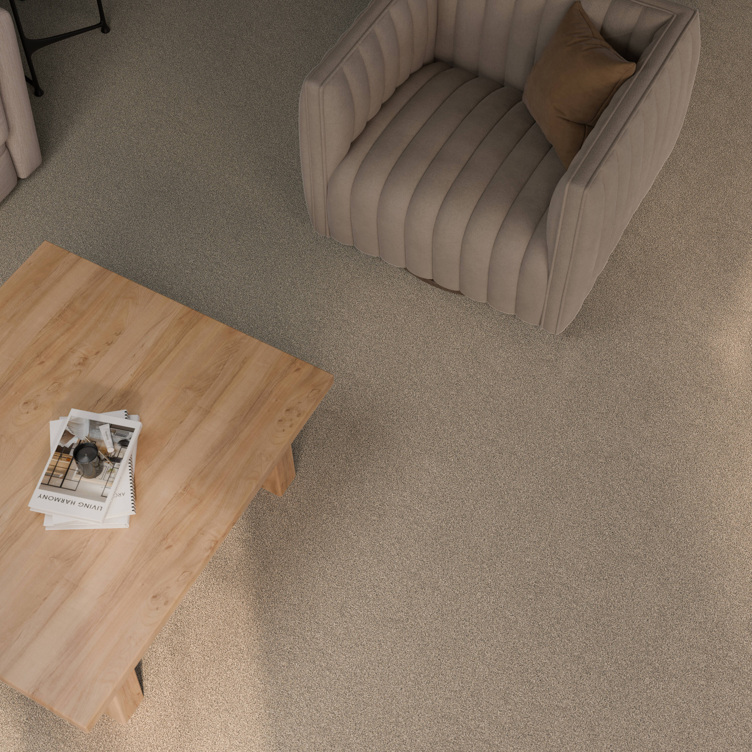 STAINMASTER 7L959-210-SAMP Carpet-Samples - View #5