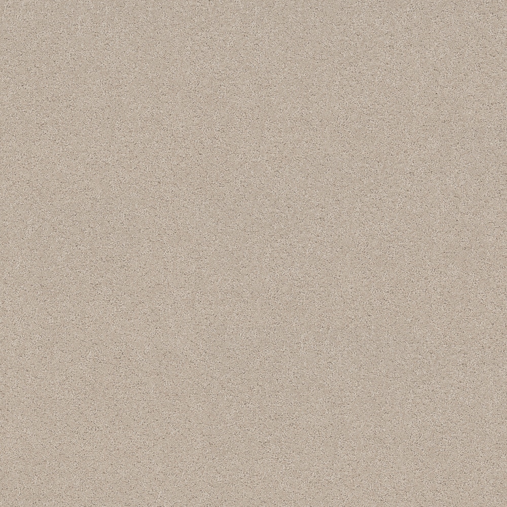 STAINMASTER PetProtect 7L944-122-SAMP (Sample) 8-in x 8-in with LeakDefense Paws Of Joy Cafe Latte Brown 48.8-oz sq yard High-performance polyester Pattern Indoor Carpet