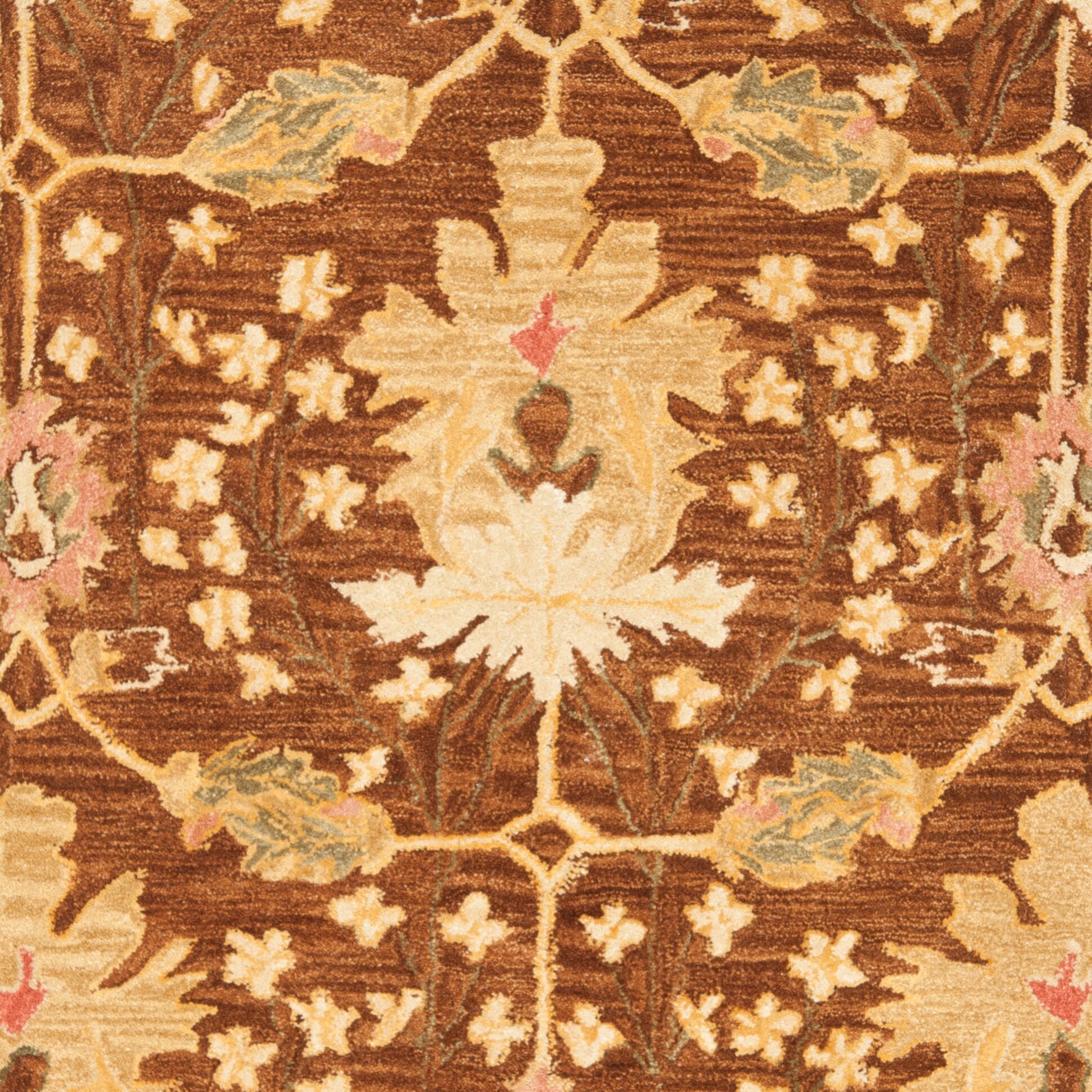 Safavieh AN540B-3 rugs - View #7