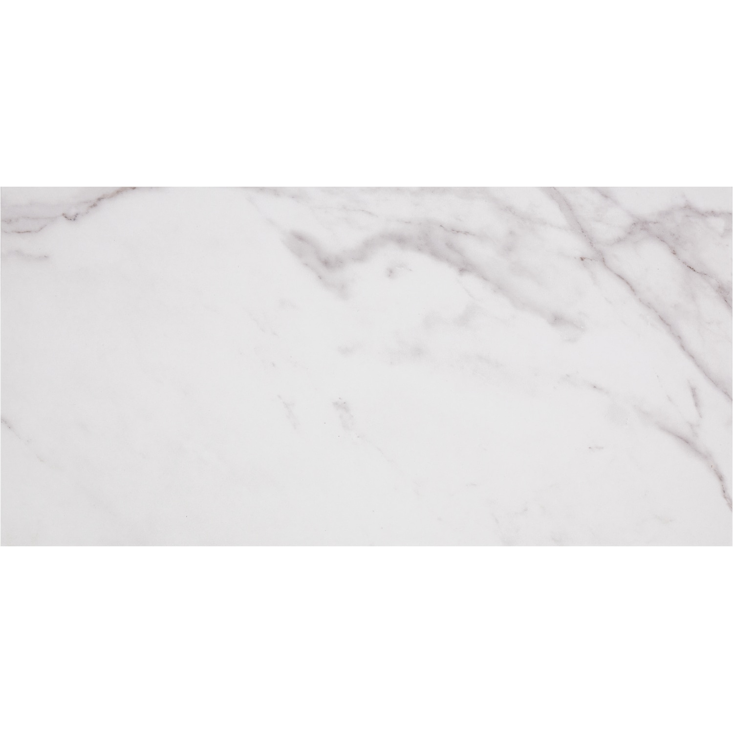 STAINMASTER Calacatta Silver 12-in x 24-in Matte Porcelain Marble Look ...