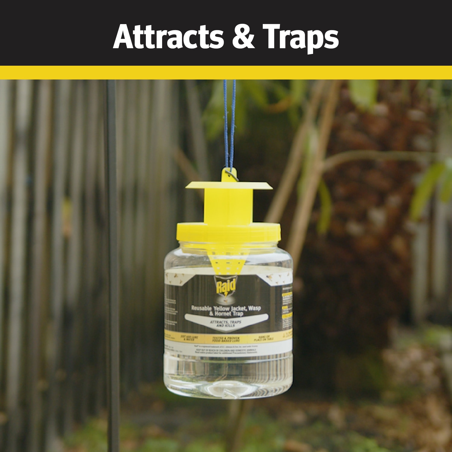 Raid Safer For Pets And Kids Wasp Jar Insect Trap Attracts And Kills