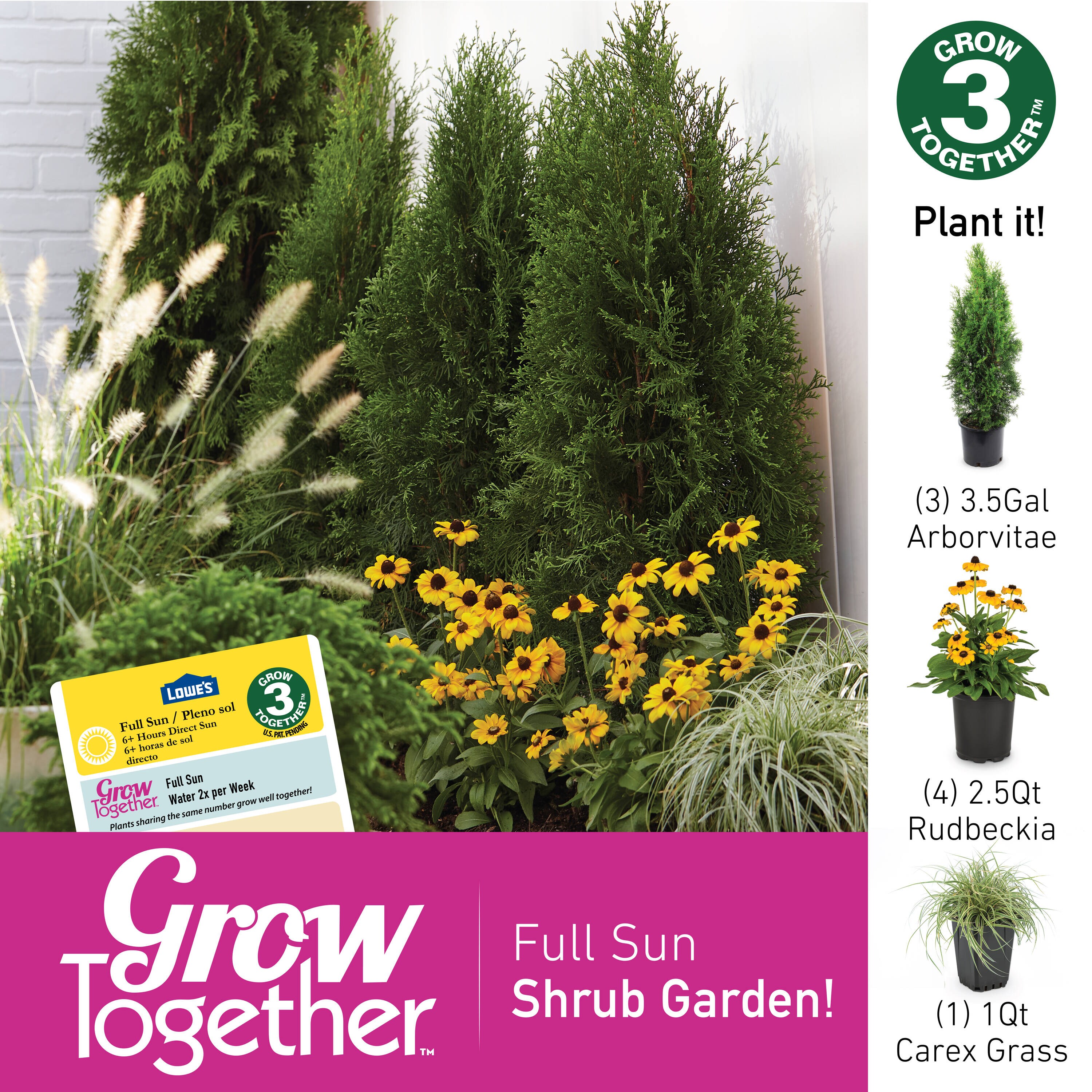 Lowe's NURSERY Ornamental-Grasses - View #3