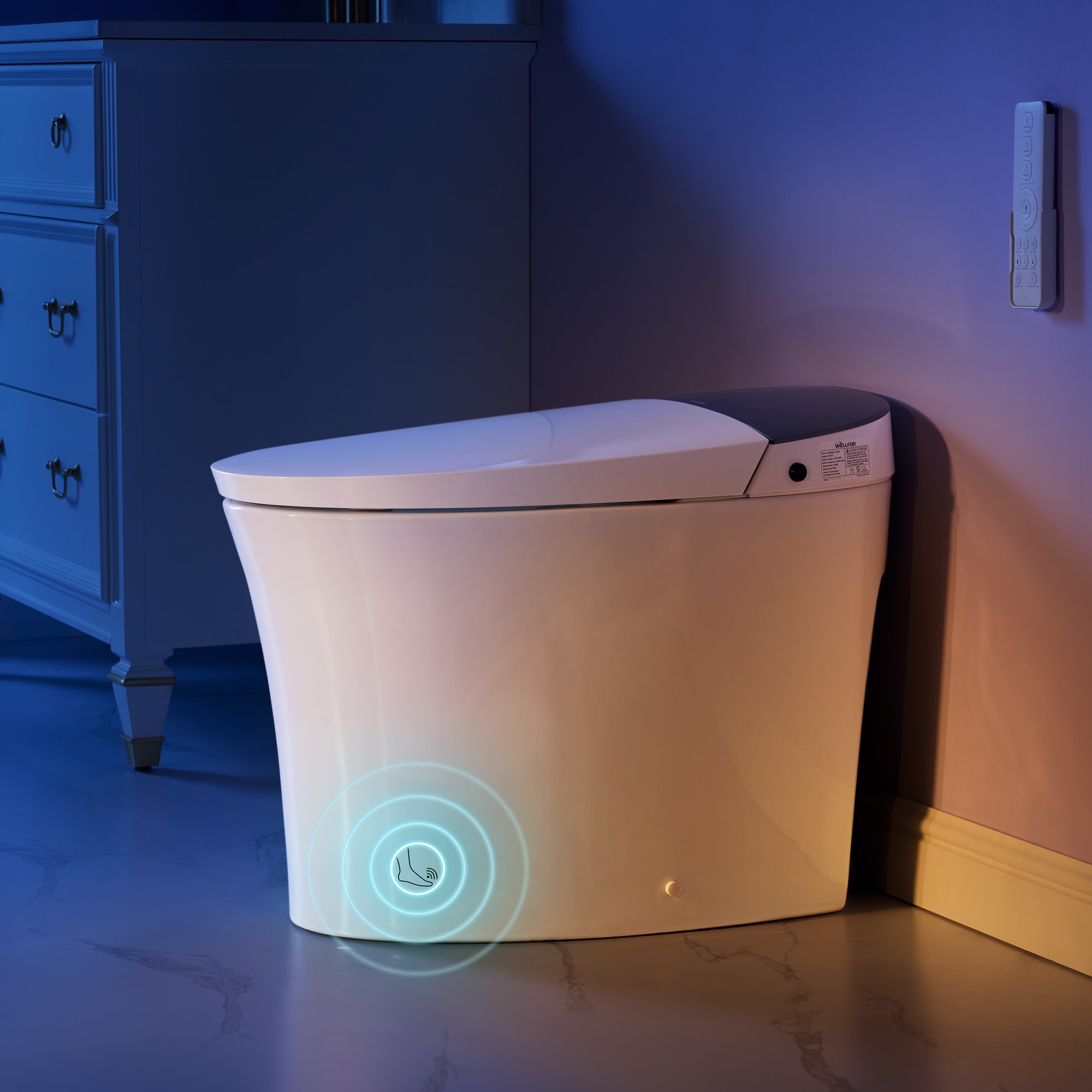 WELLFOR CF81-T toilets - View #2