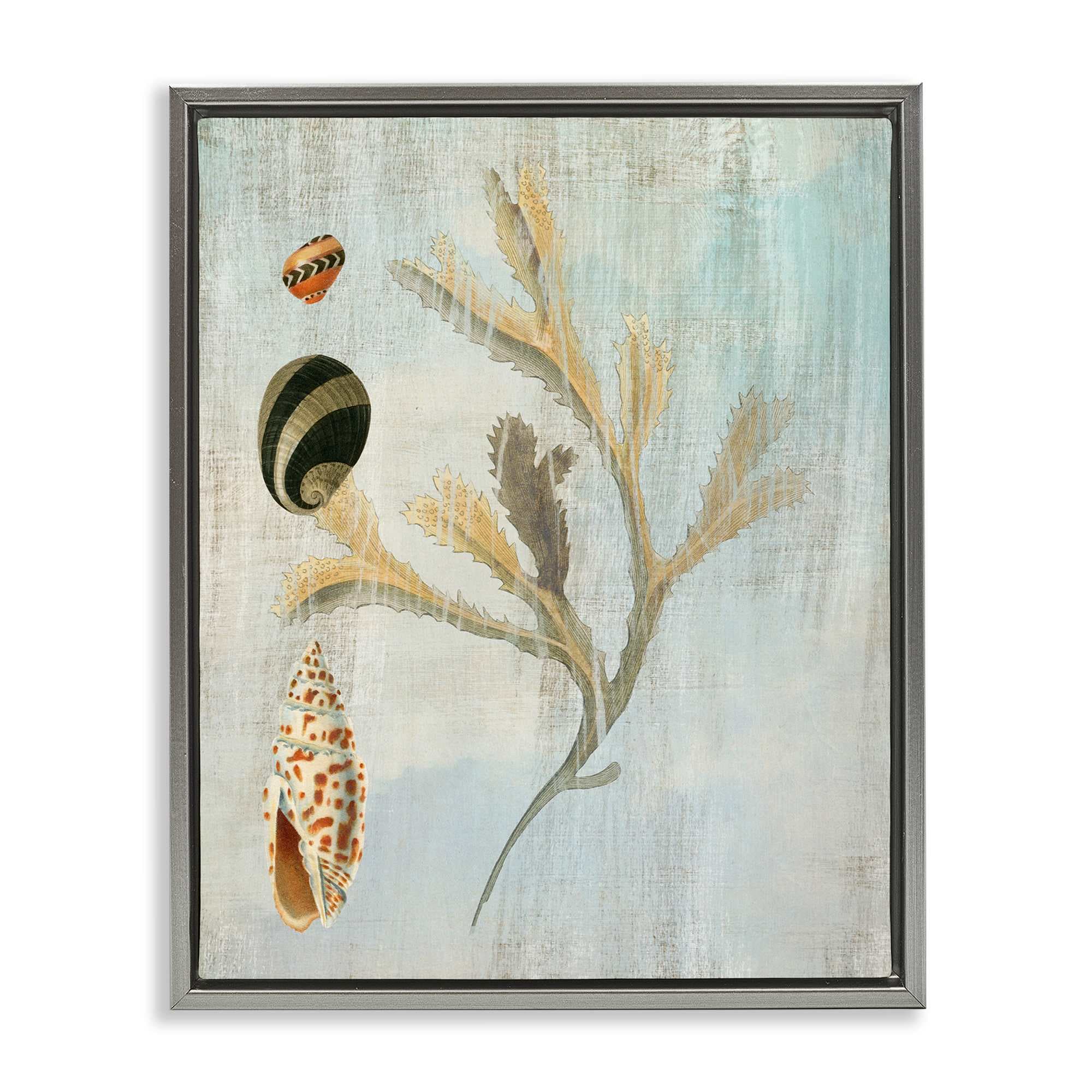 Stupell Industries BT-994-FFL-16X20 Mixed Seashells and Coral Gray Framed Floater Canvas Wall Art By Susan Arnot 17 x 21