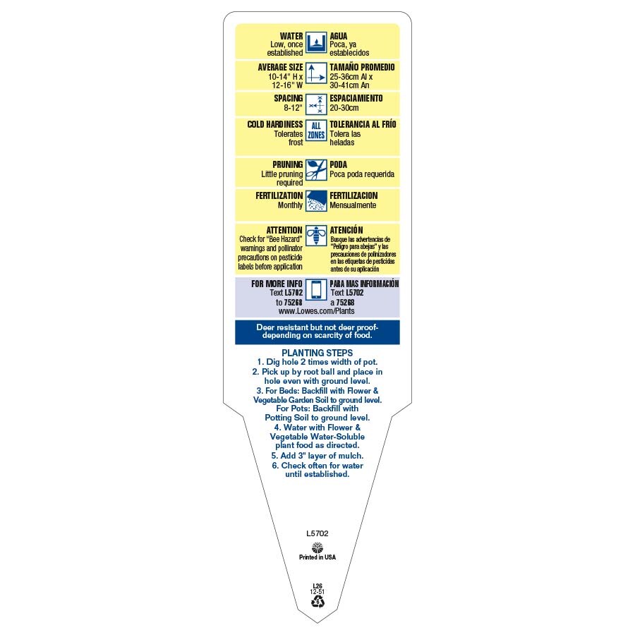 Lowe's 3936013 annuals - View #3