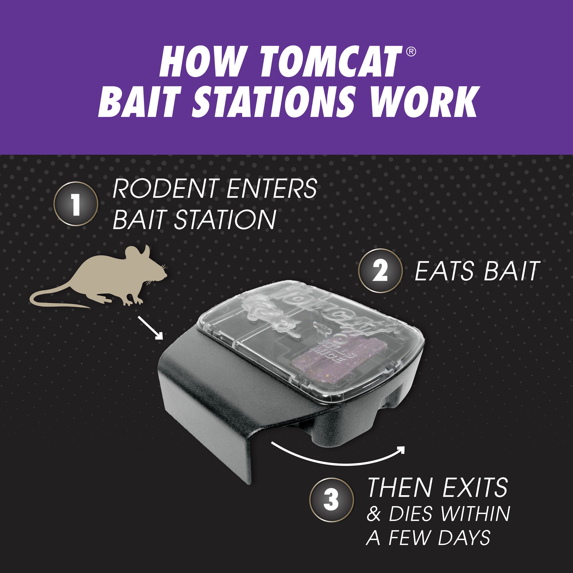 TOMCAT Refillable- Advanced Formula Mouse Killer in the Animal