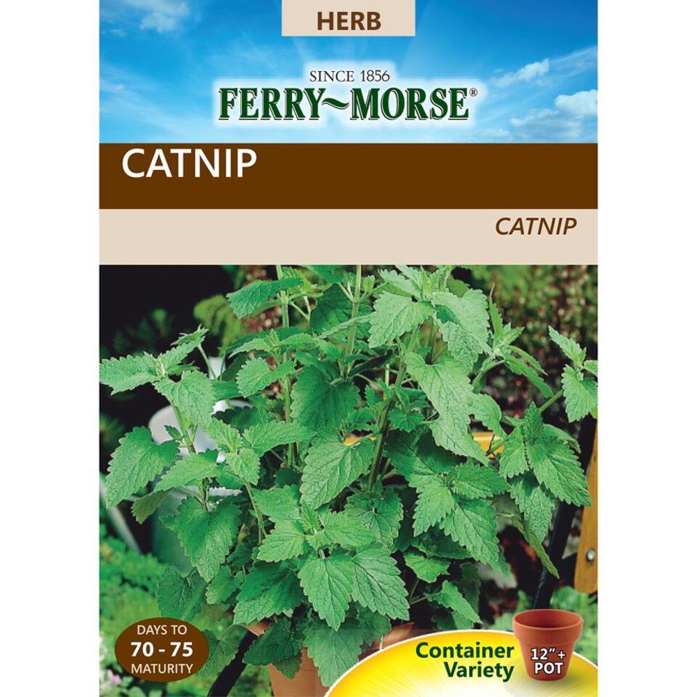 Ferry-Morse 471608.159.408628 650 Milli-Gram Catnip (L0000)