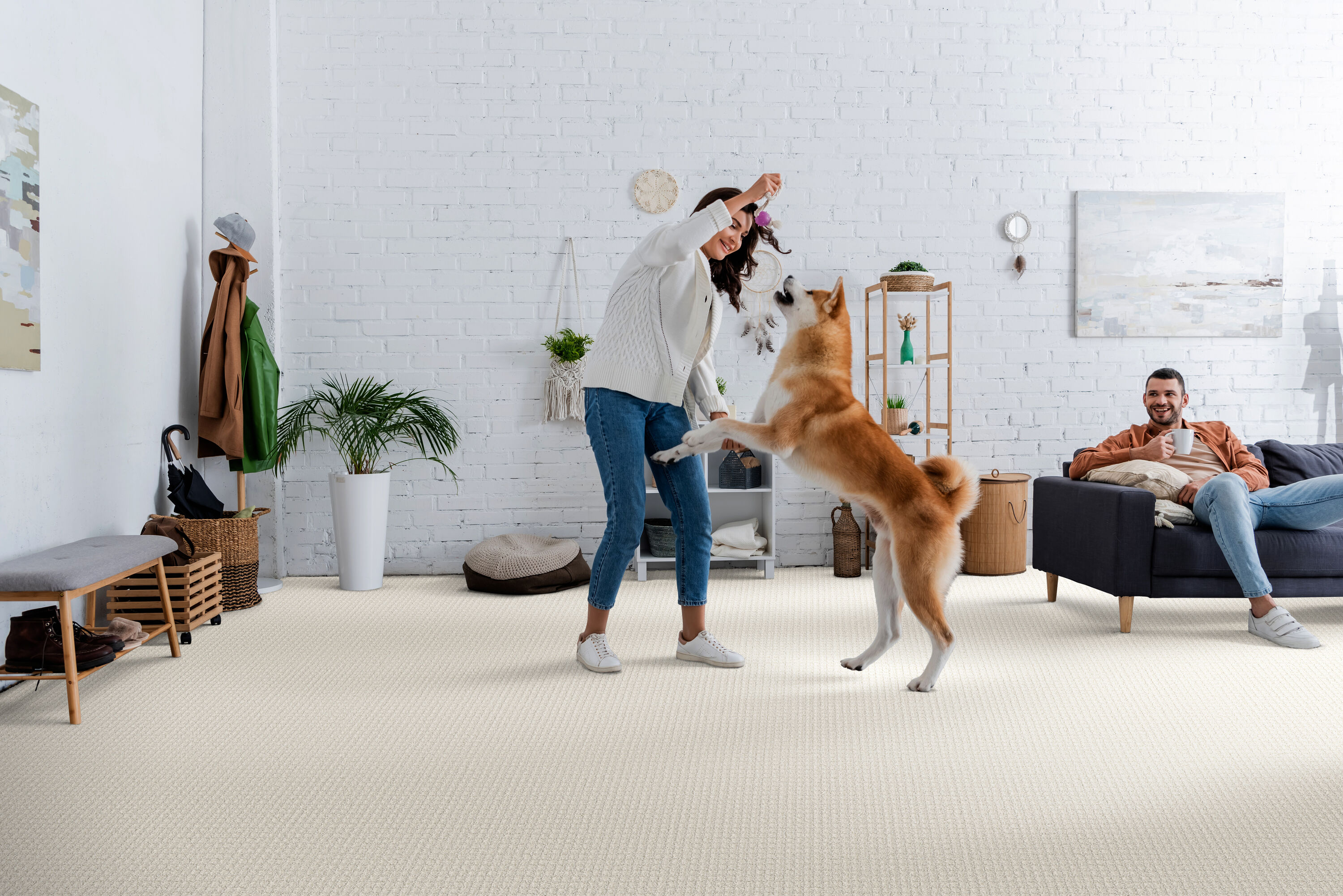 STAINMASTER PetProtect 7L885 - 100 - SAMP Carpet-Samples - View #3
