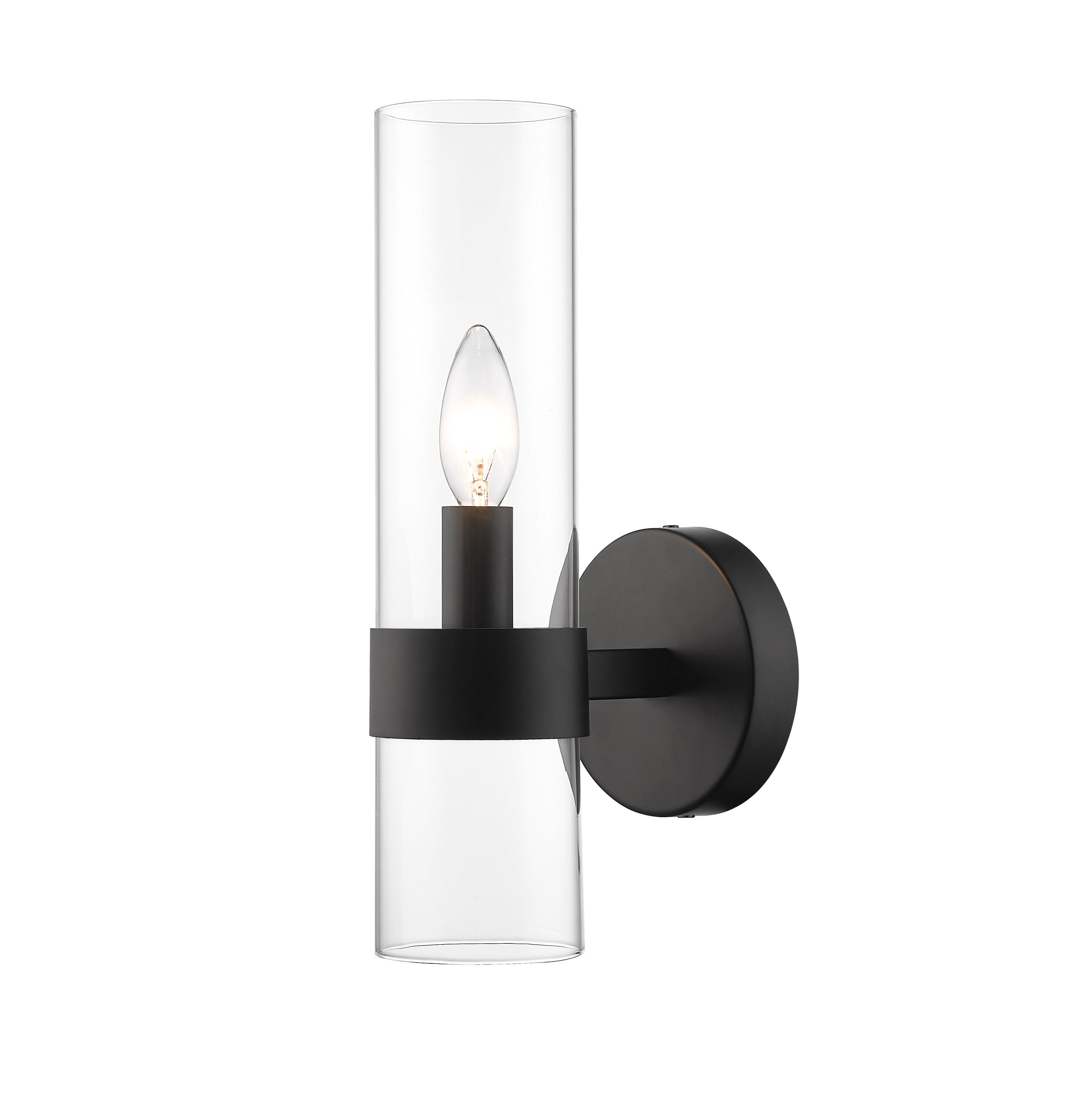 Matte Black Dimmable Steel Wall Sconce with Glass Shade