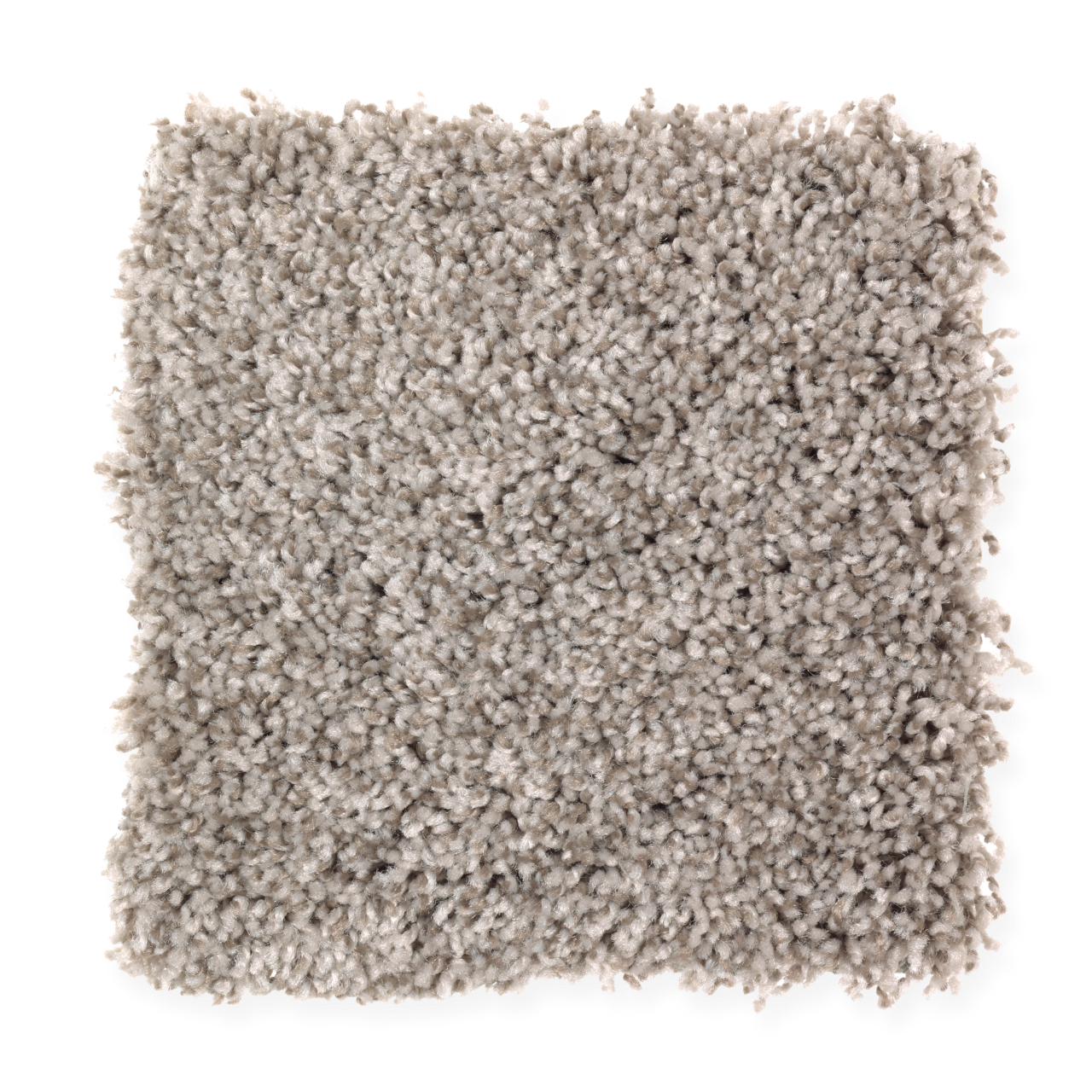Style Selections SS001-L019-0808 (Sample) Norman Shores Smooth Taupe Brown 50-oz sq yard Polyester Textured Indoor Carpet