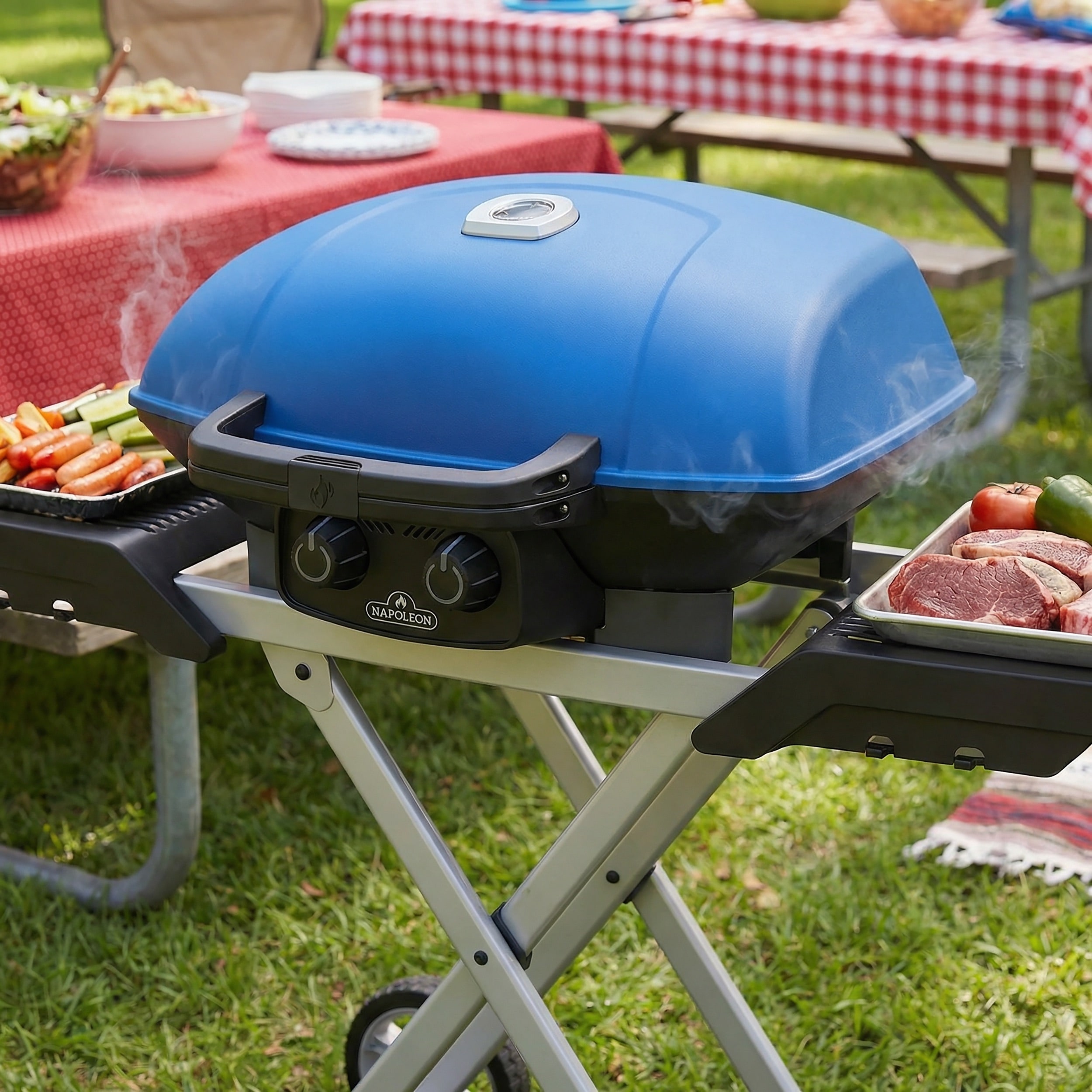 NAPOLEON TQ285X-BL-1 Tabletop-Grills - View #2