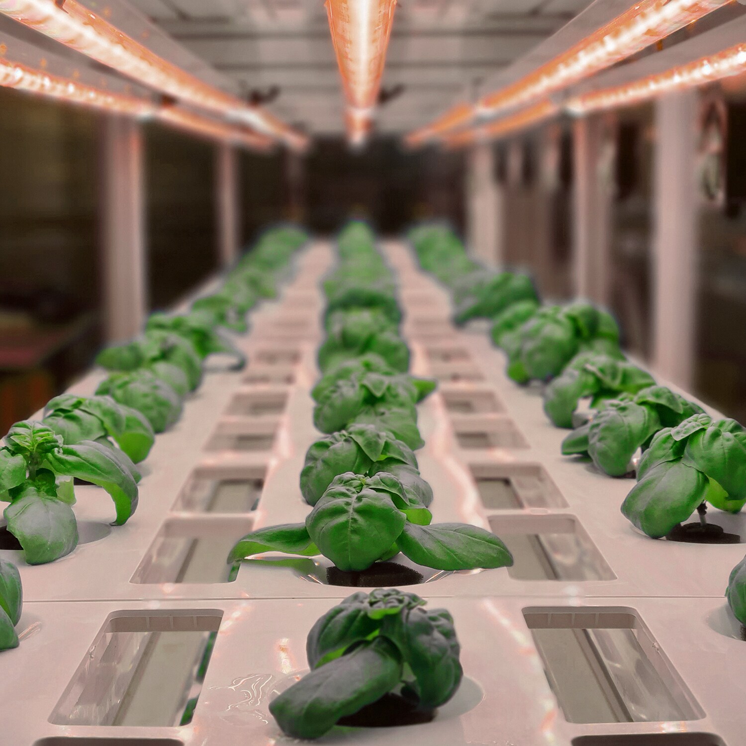 Utilitech Z-XP-GRST2 Grow-Lights - View #6