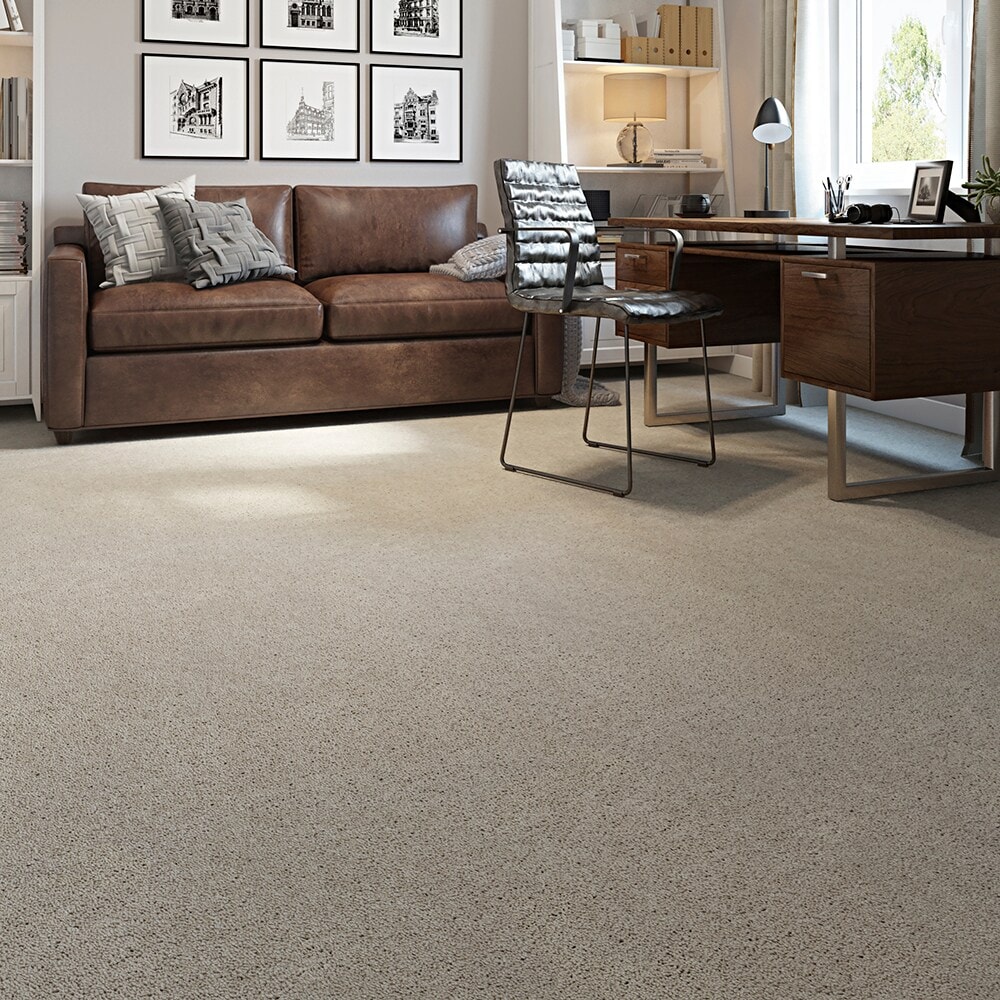 STAINMASTER STP43-12-L002 Carpet-Panel - View #3