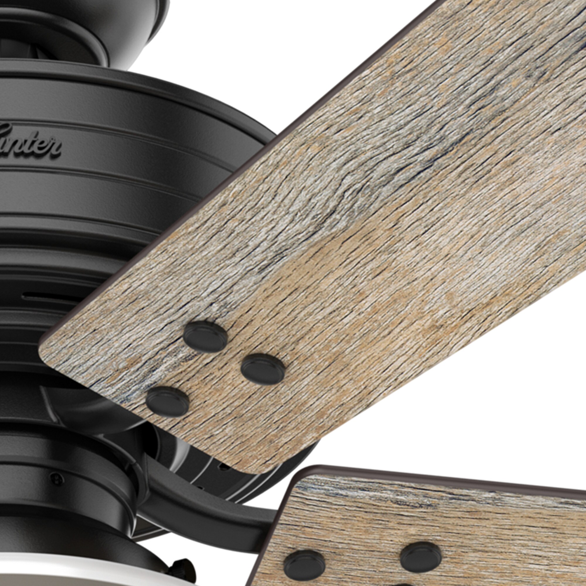Hunter 55078 Ceiling-Fans - View #13