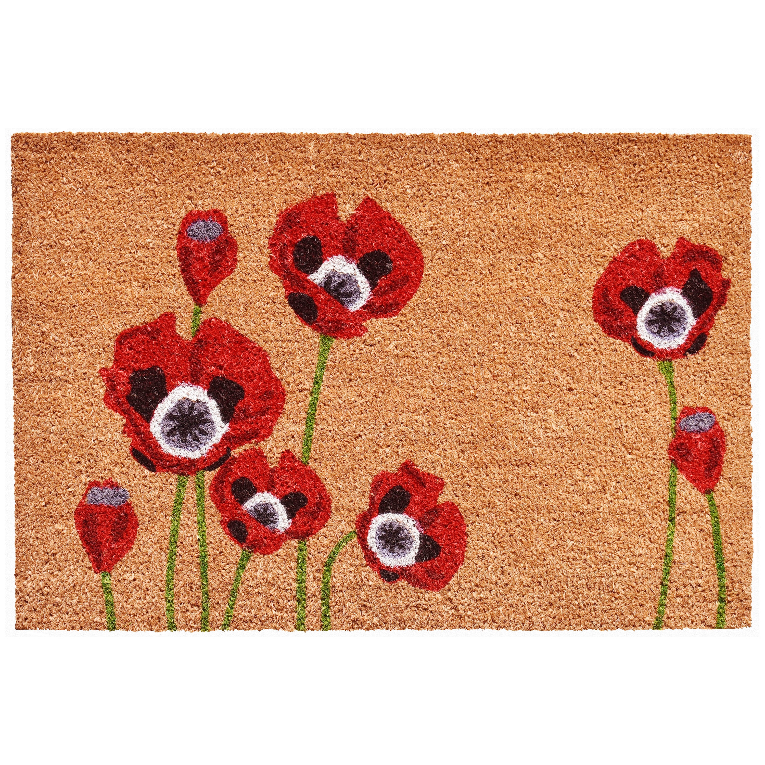 Callowaymills 104031729 1-1/2-ft x 2-1/2-ft Natural, Black Coir/Vinyl Rectangular Indoor or outdoor Decorative Door mat