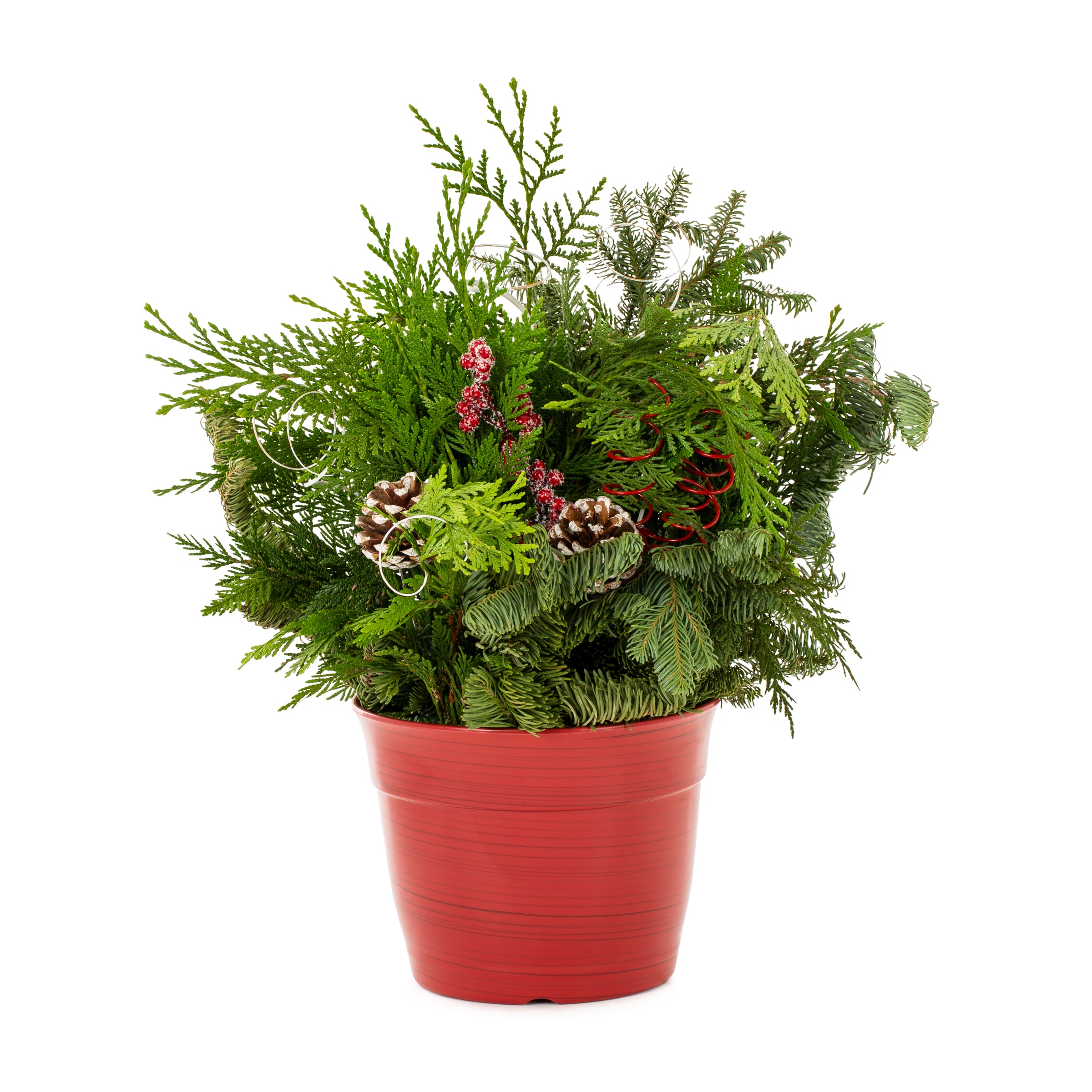 Fresh Christmas Greenery Bouquet in the Fresh Christmas Decorations  department at