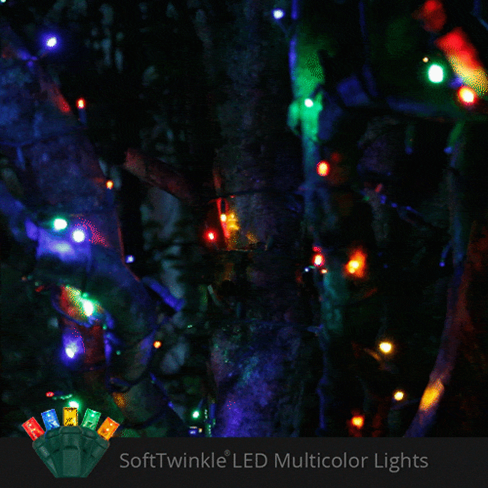 Wintergreen Lighting 78784 Christmas-String-Lights - View #5