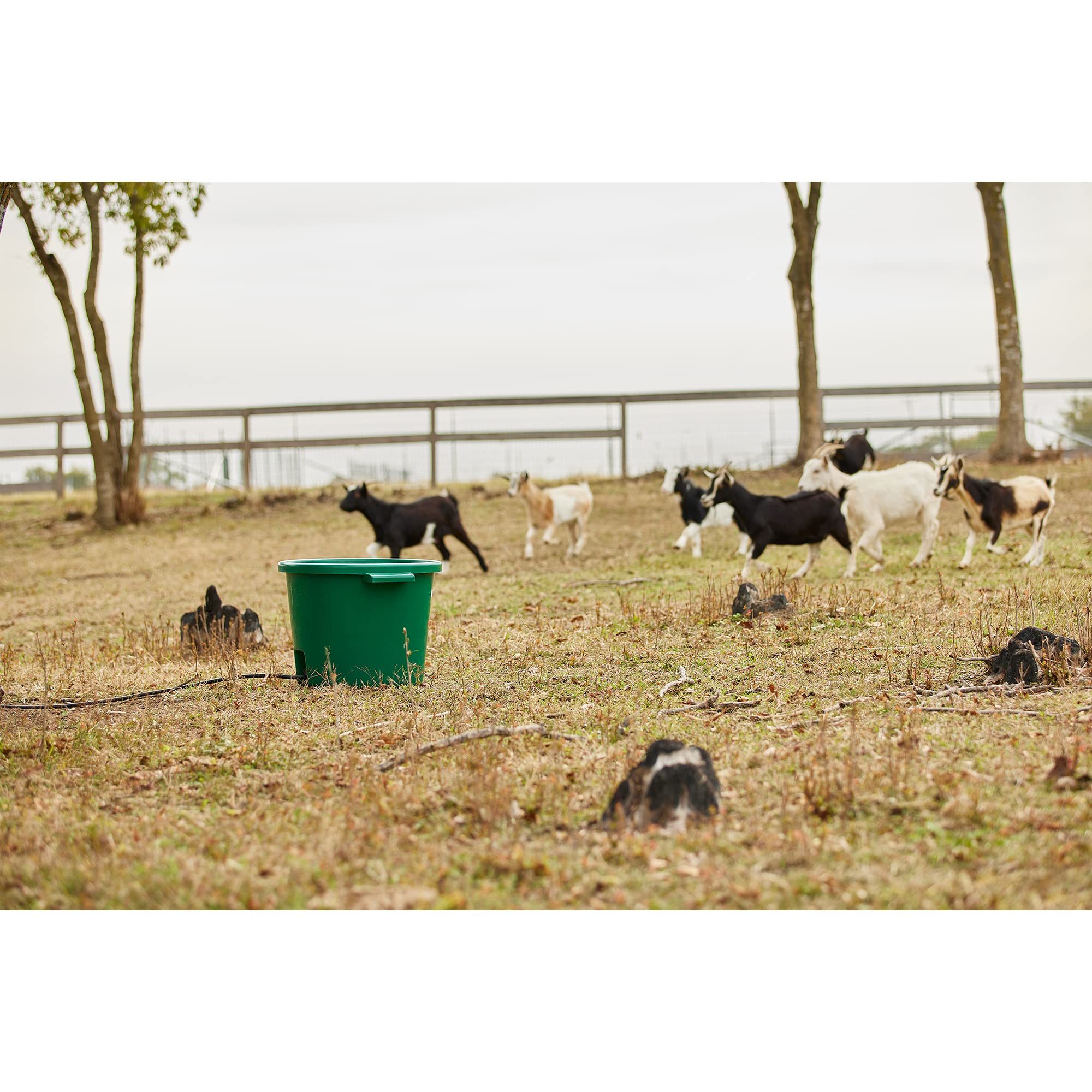 Farm Innovators HT--200 Stock-Tanks - View #7
