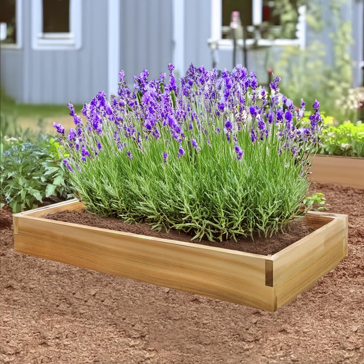 Western Red Cedar 4-ft Expandable Raised Garden Bed