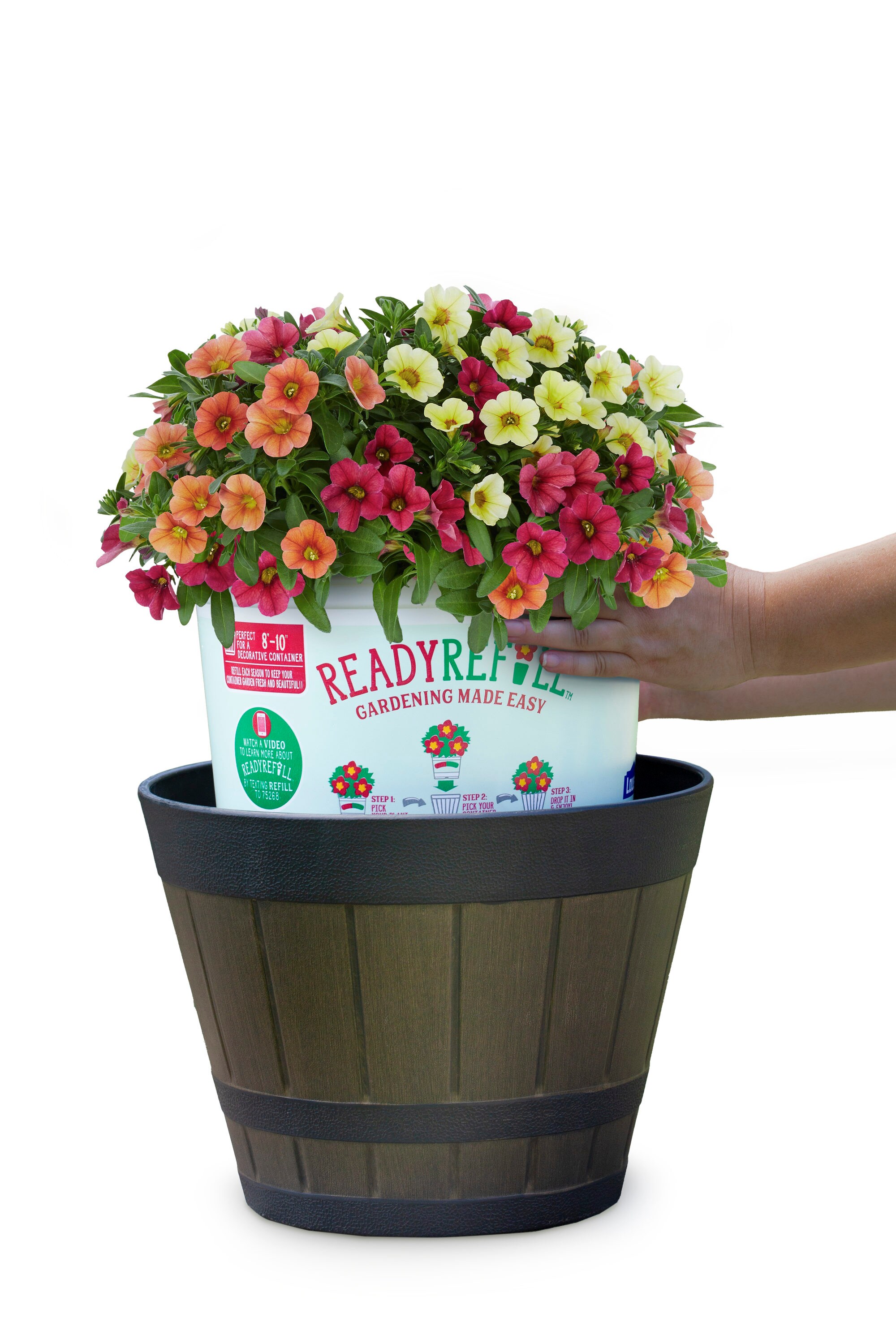 Ready Refill NURSERY annuals - View #6