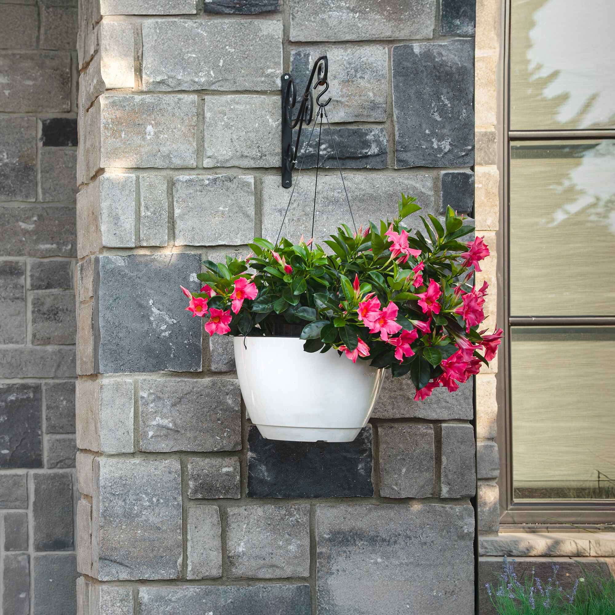 Mayne 3885-W Planter-Window-Box - View #3