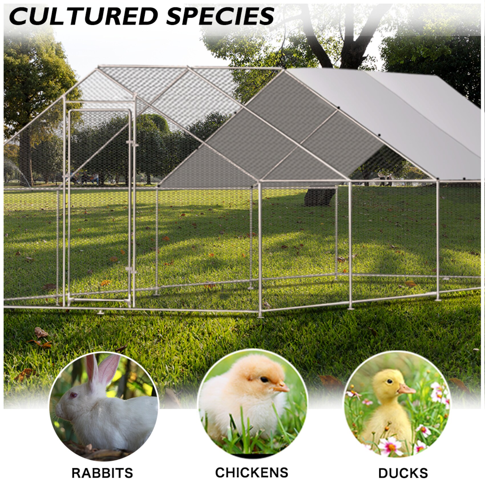 Maocao Hoom JLS00007 Chicken-Coops-Rabbit-Hutches - View #2