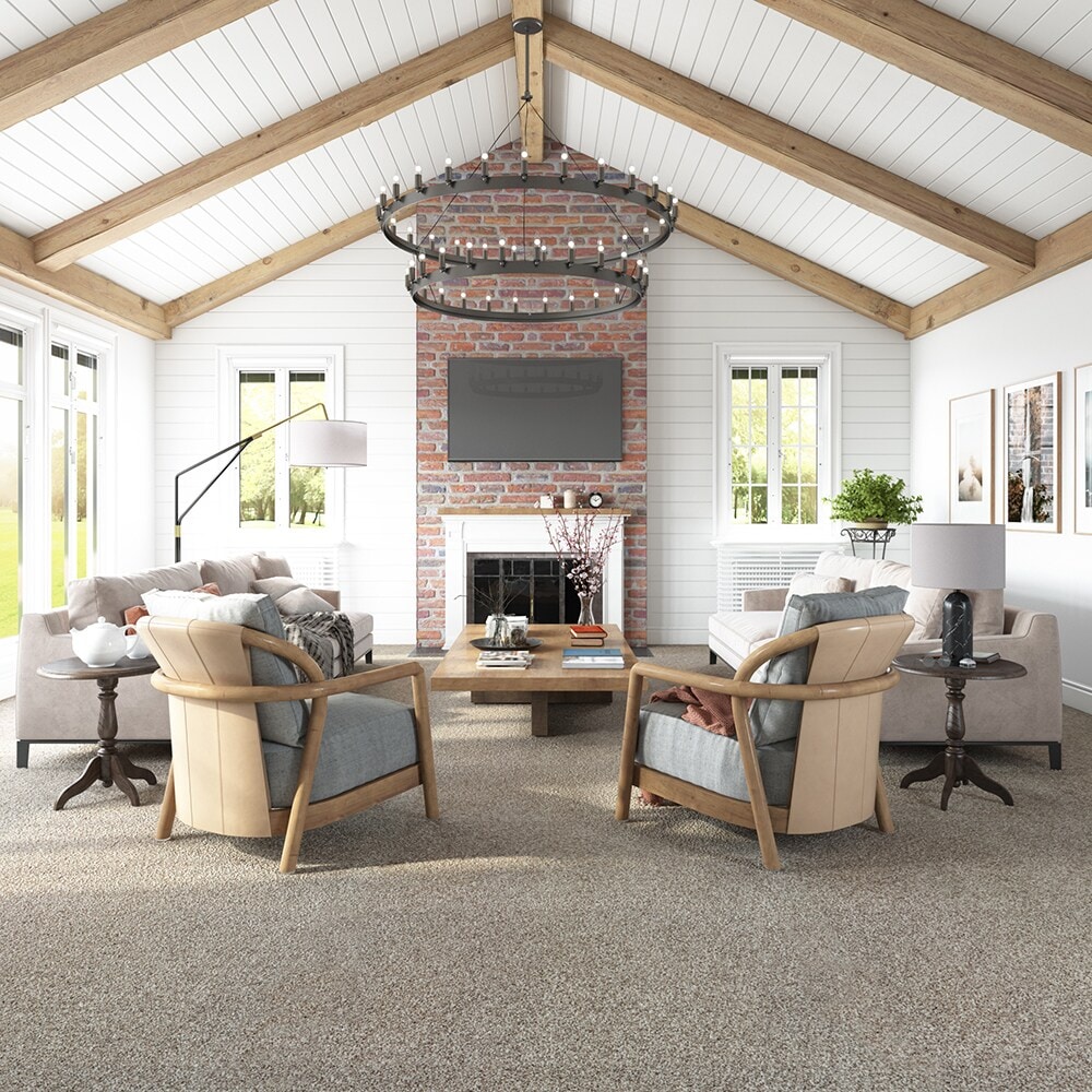 STAINMASTER SS003-12-L008 Carpet-Panel - View #3
