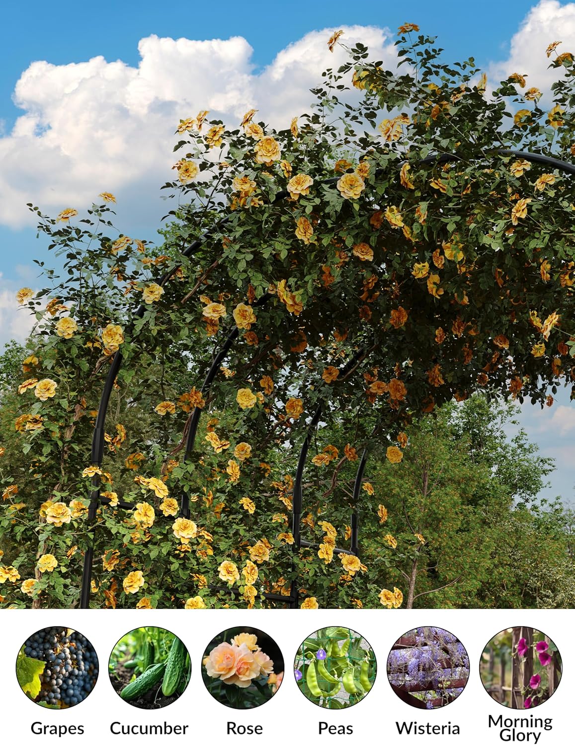 Qeetex PHO-339E4YJS Garden-Trellis - View #3