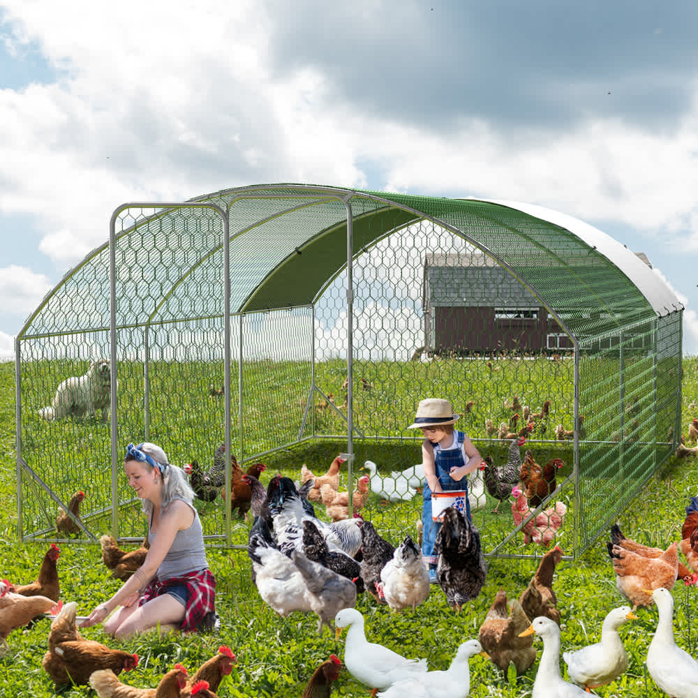 Qeetex WLS-PHO-159PL8QL Chicken-Coops-Rabbit-Hutches - View #6