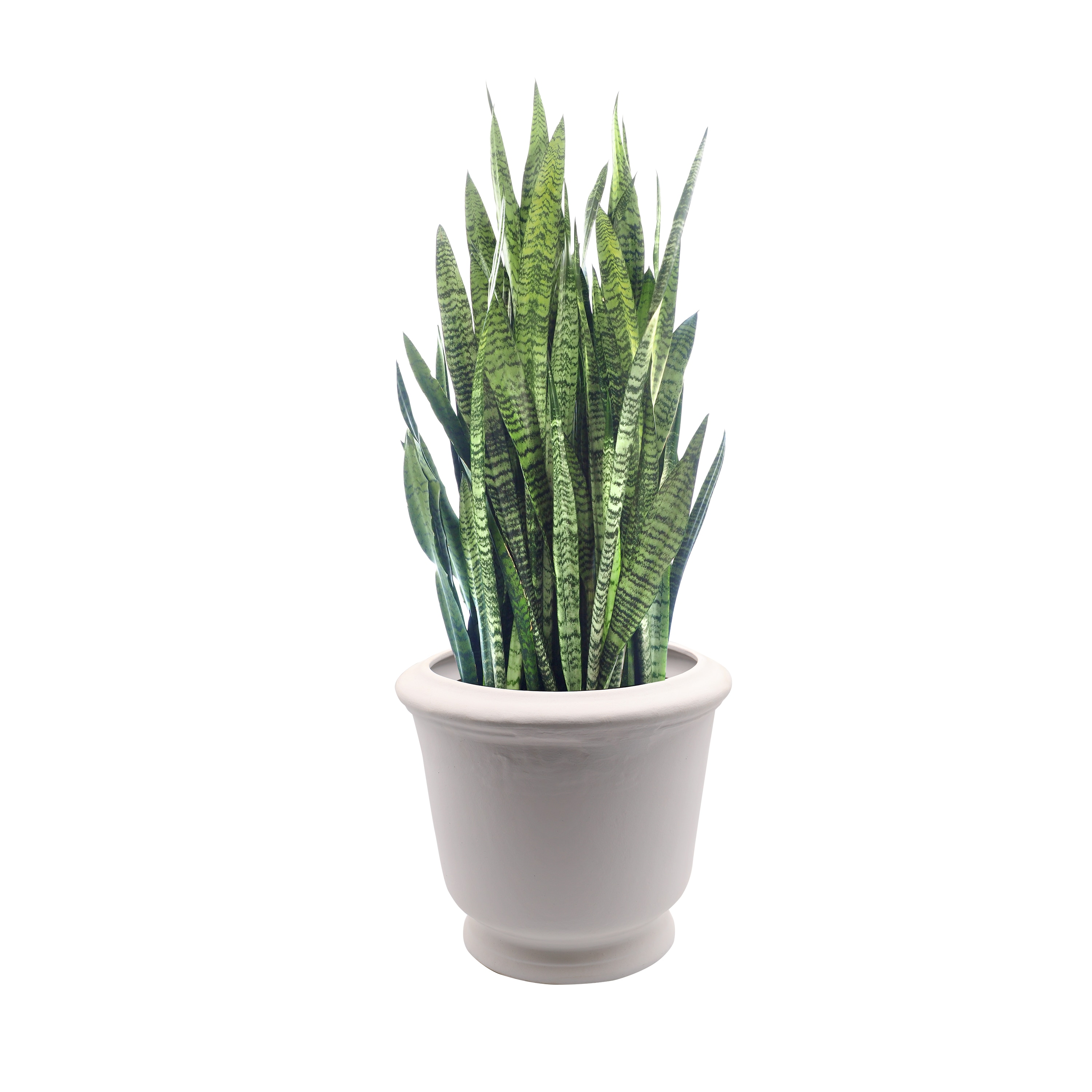 Evergreen 2CG844 Planter-Window-Box - View #3