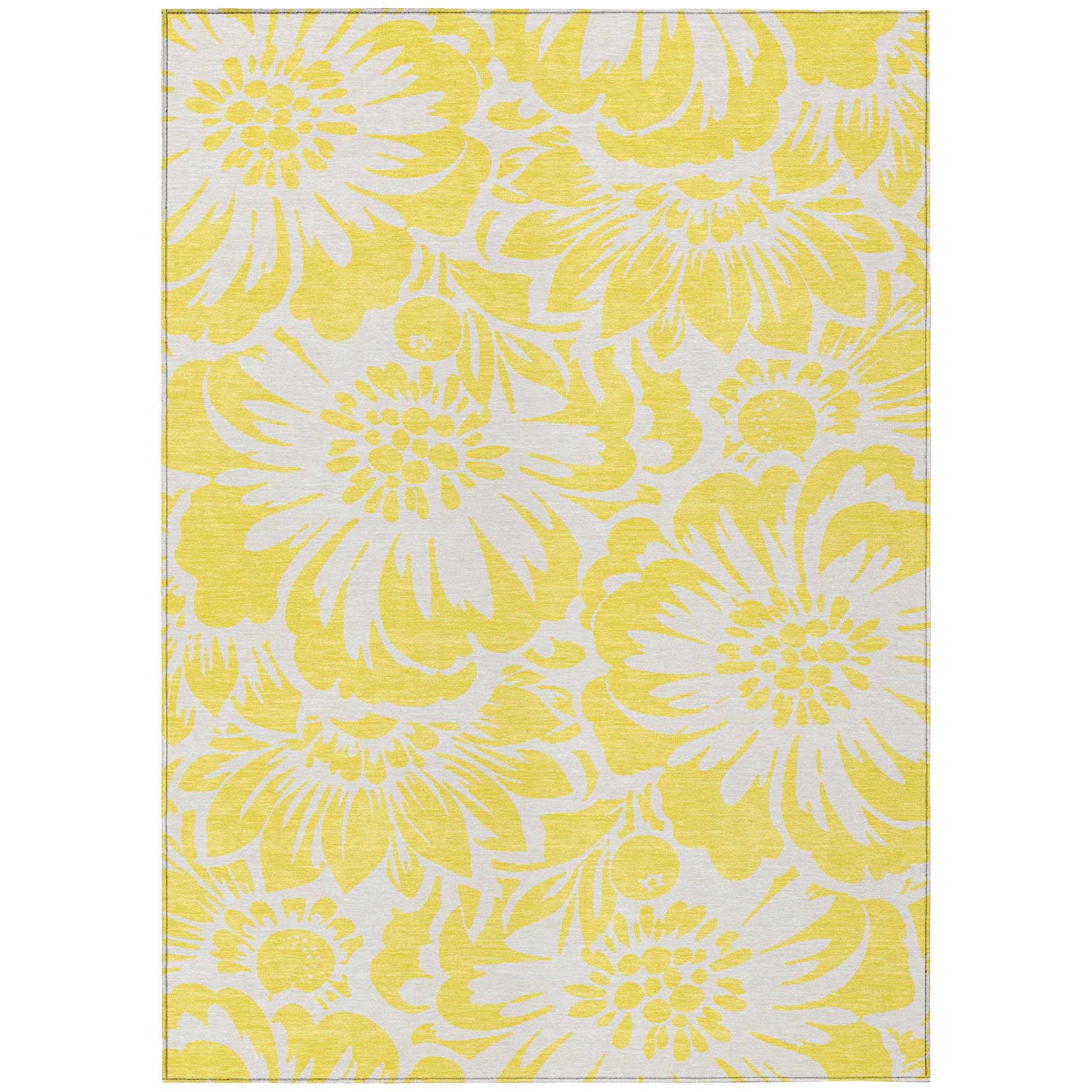 Addison Rugs ACN551YE30X46 rugs - View #2