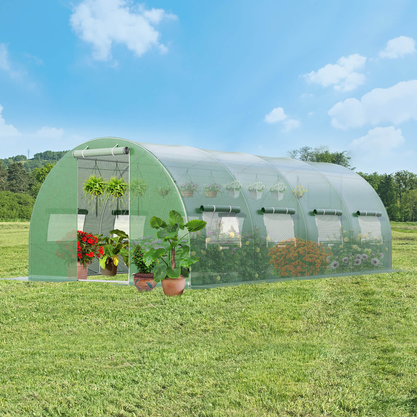 Slickblue D-CO-NG0204TG greenhouses - View #3
